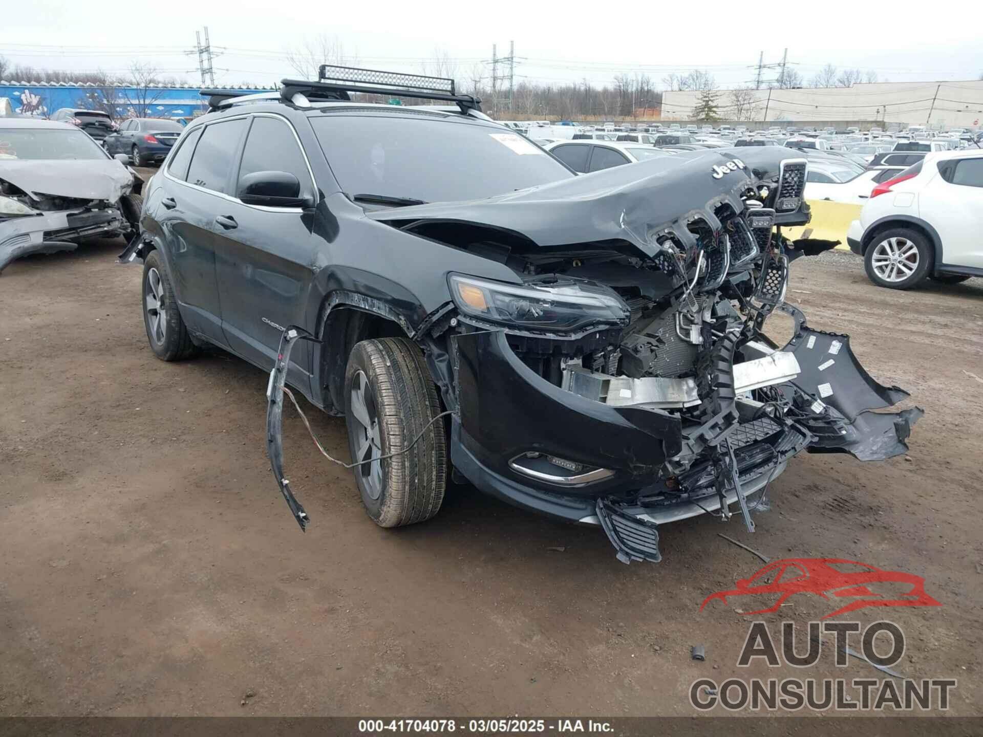 JEEP CHEROKEE 2019 - 1C4PJMDN1KD387002