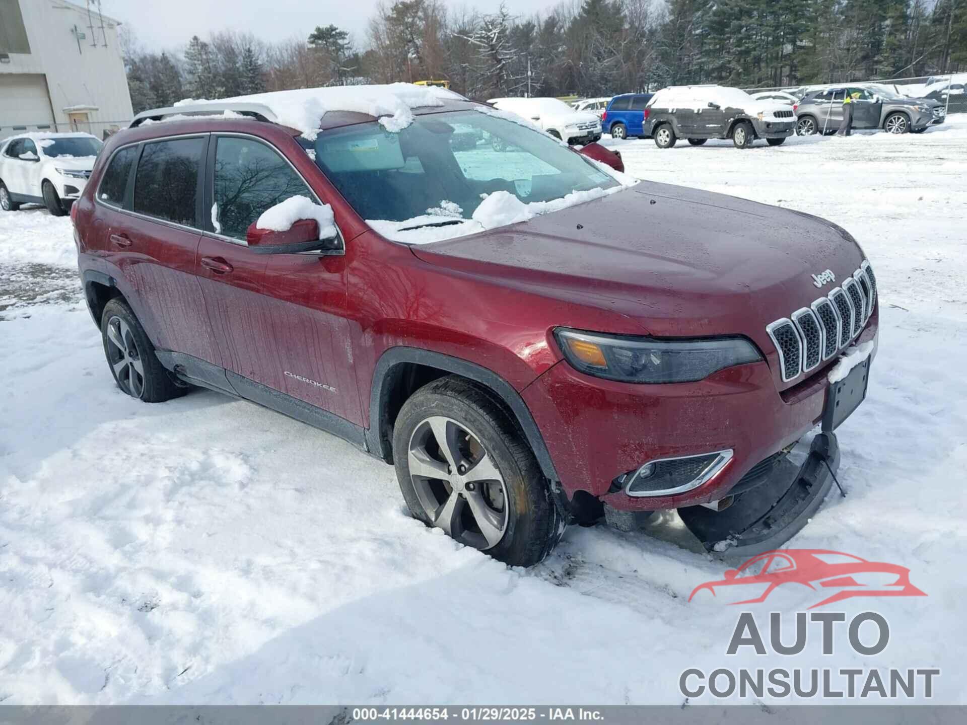 JEEP CHEROKEE 2019 - 1C4PJMDX2KD431106