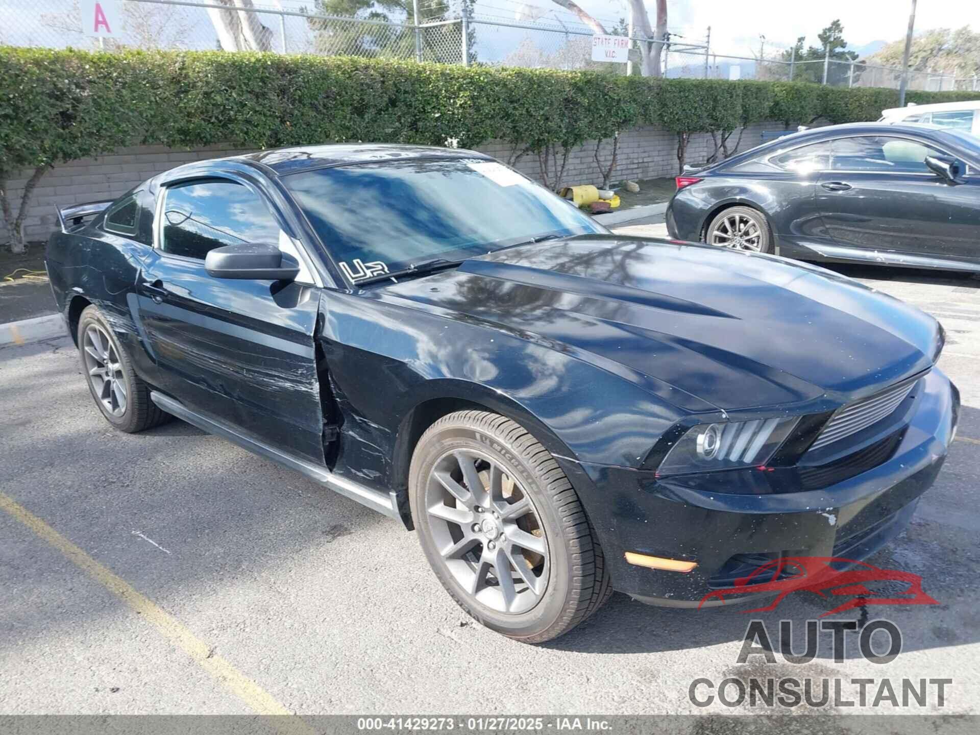 FORD MUSTANG 2011 - 1ZVBP8AM8B5137033