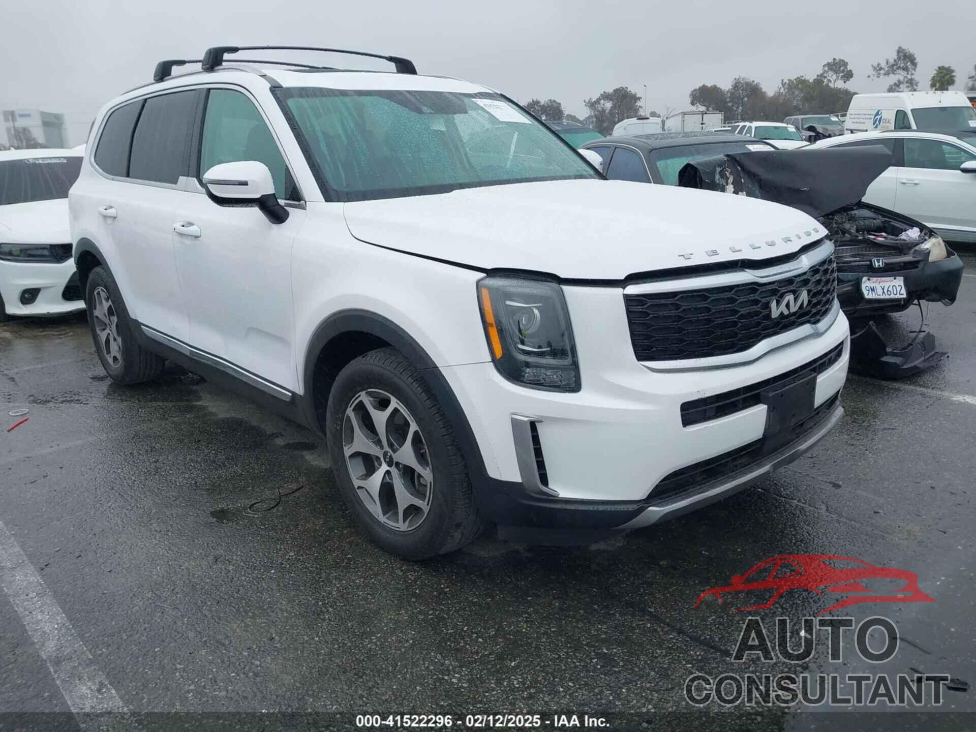 KIA TELLURIDE 2022 - 5XYP34HCXNG275288