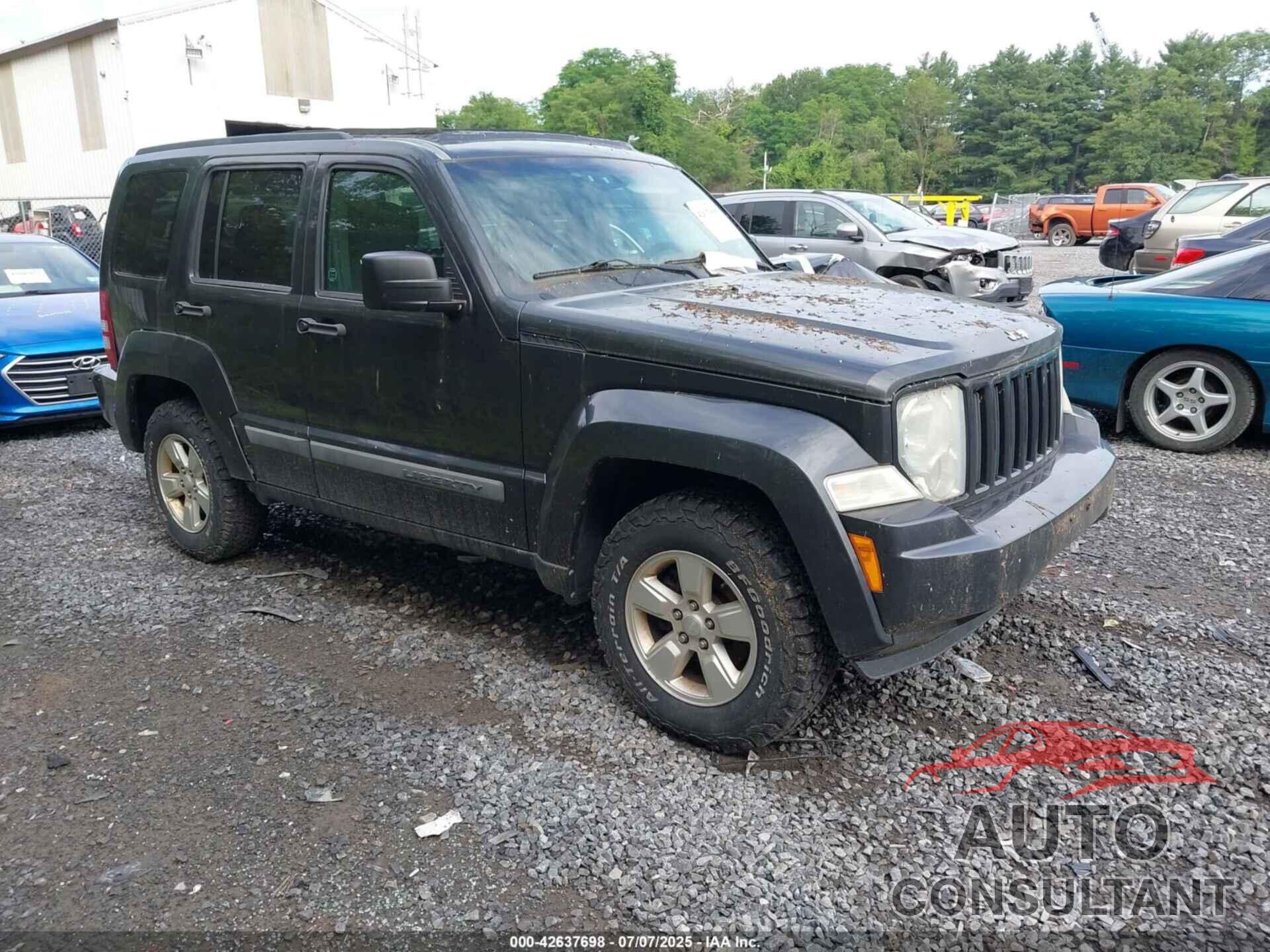JEEP LIBERTY 2010 - 1J4PN2GK5AW154425