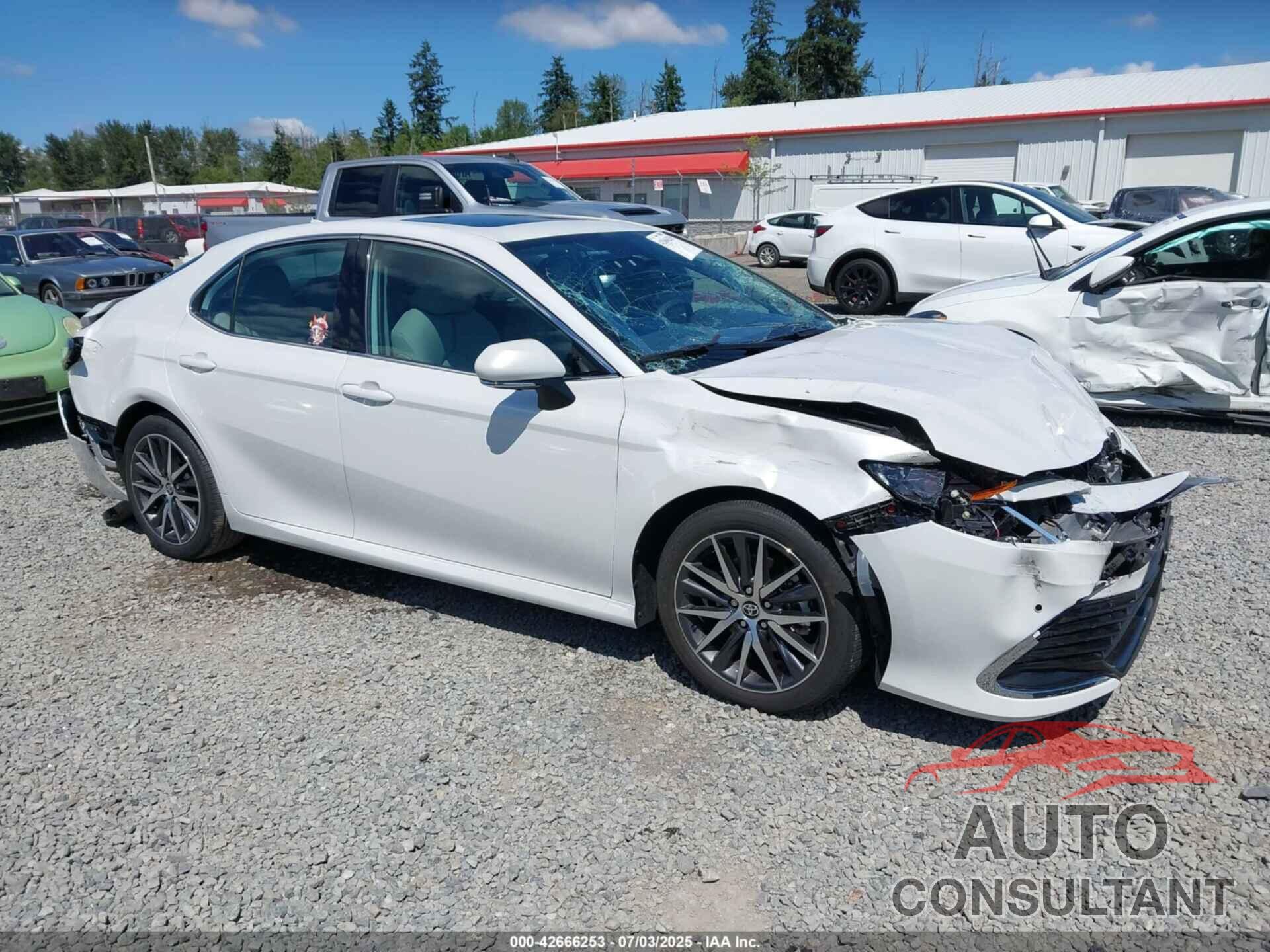 TOYOTA CAMRY HYBRID 2024 - 4T1F31AK5RU631321