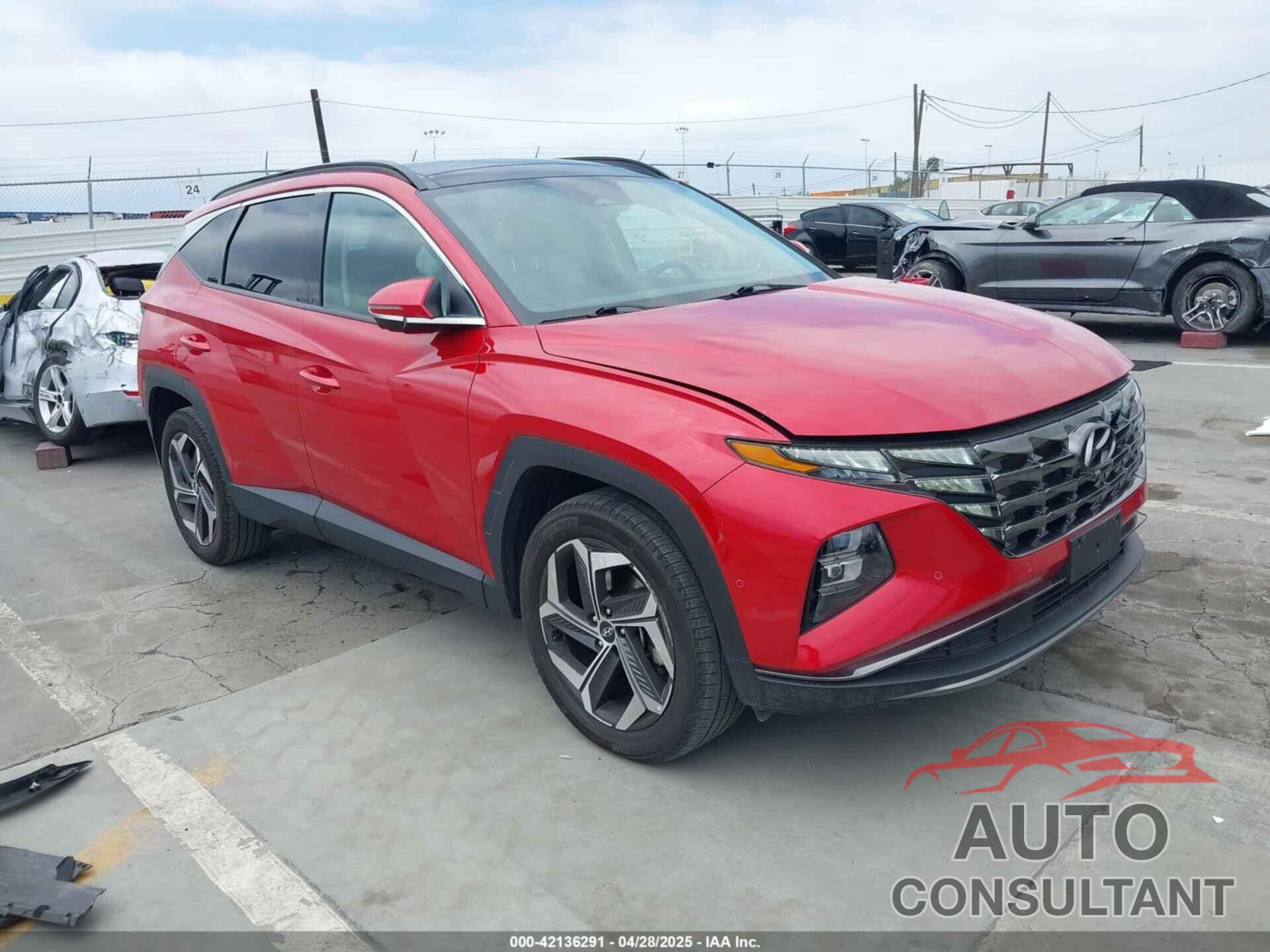 HYUNDAI TUCSON 2023 - 5NMJECAE2PH163311