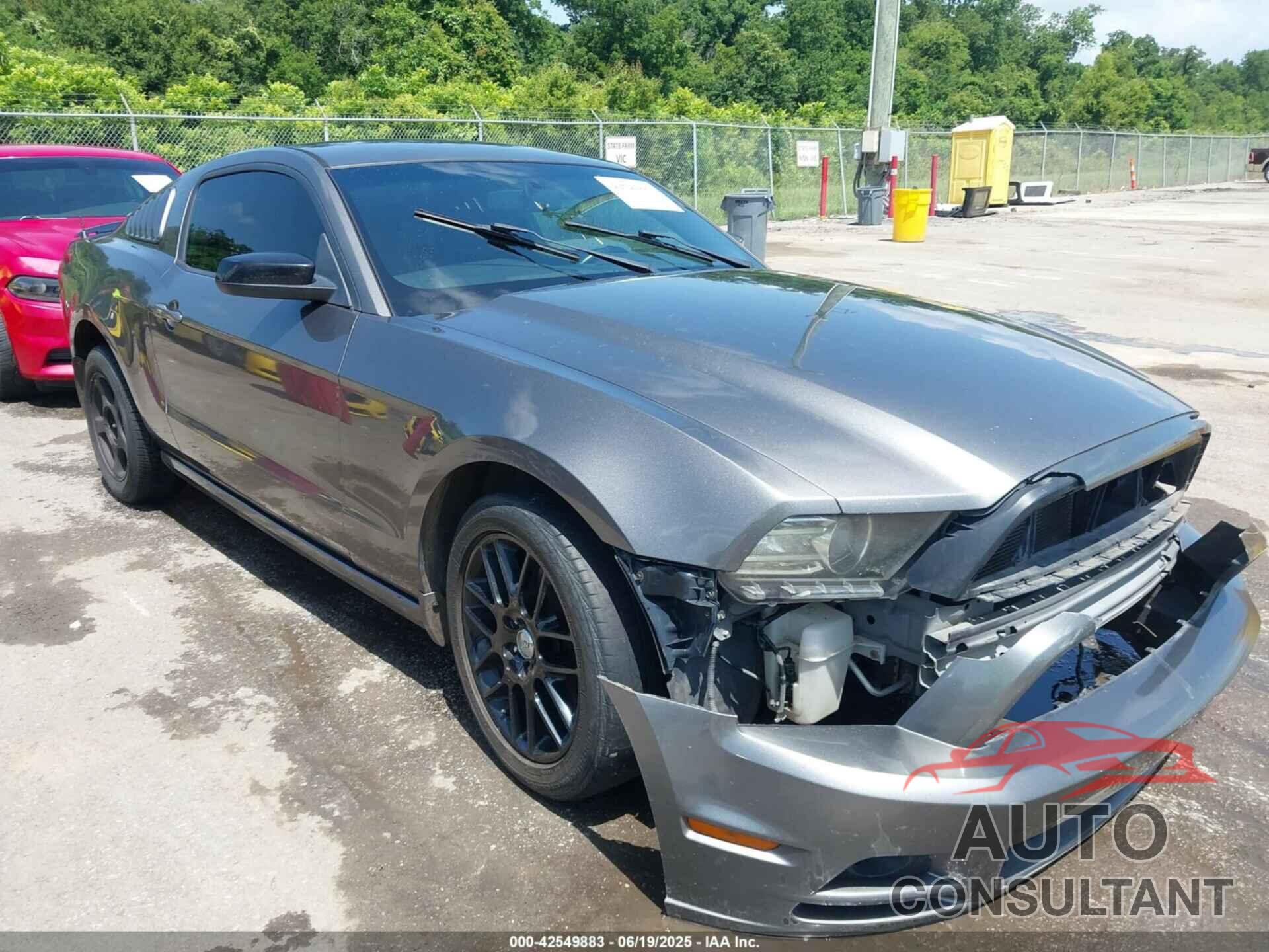 FORD MUSTANG 2014 - 1ZVBP8AM6E5320578
