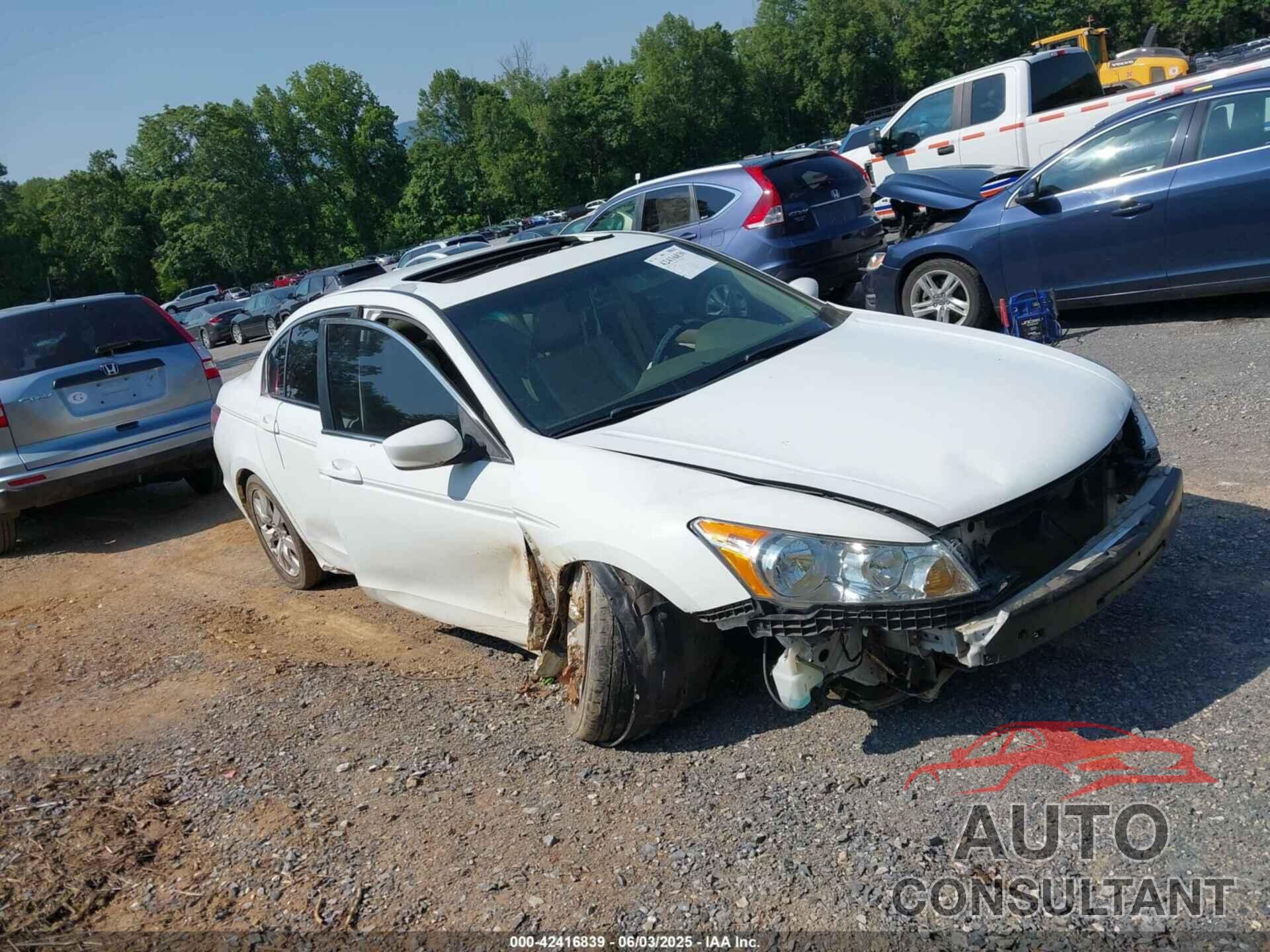 HONDA ACCORD 2010 - 1HGCP2F85AA099106