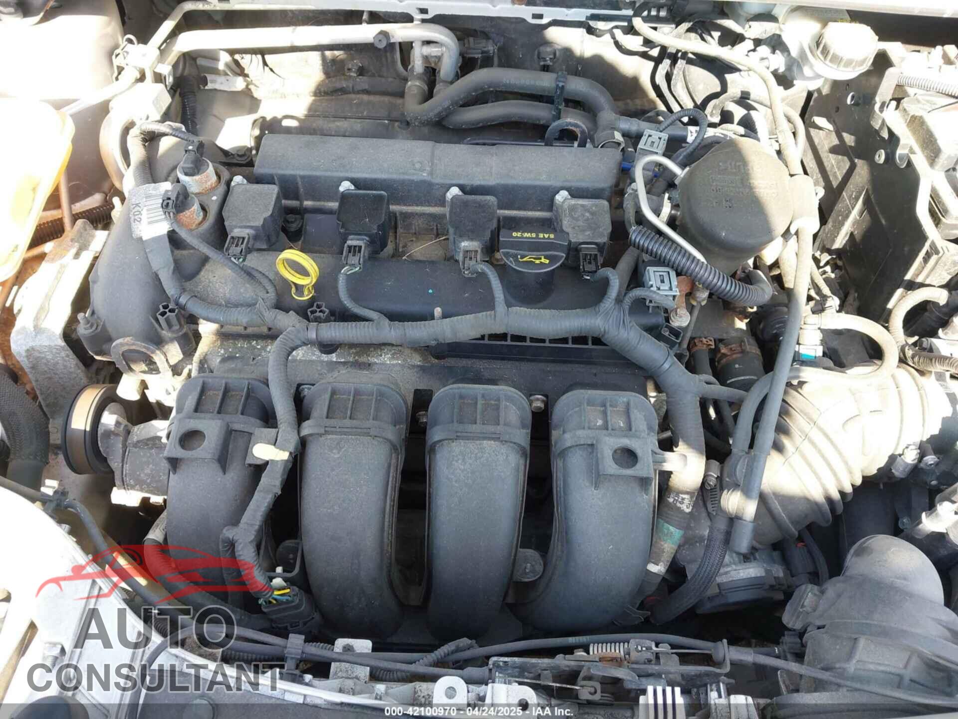 FORD FOCUS 2012 - 1FAHP3F20CL372391