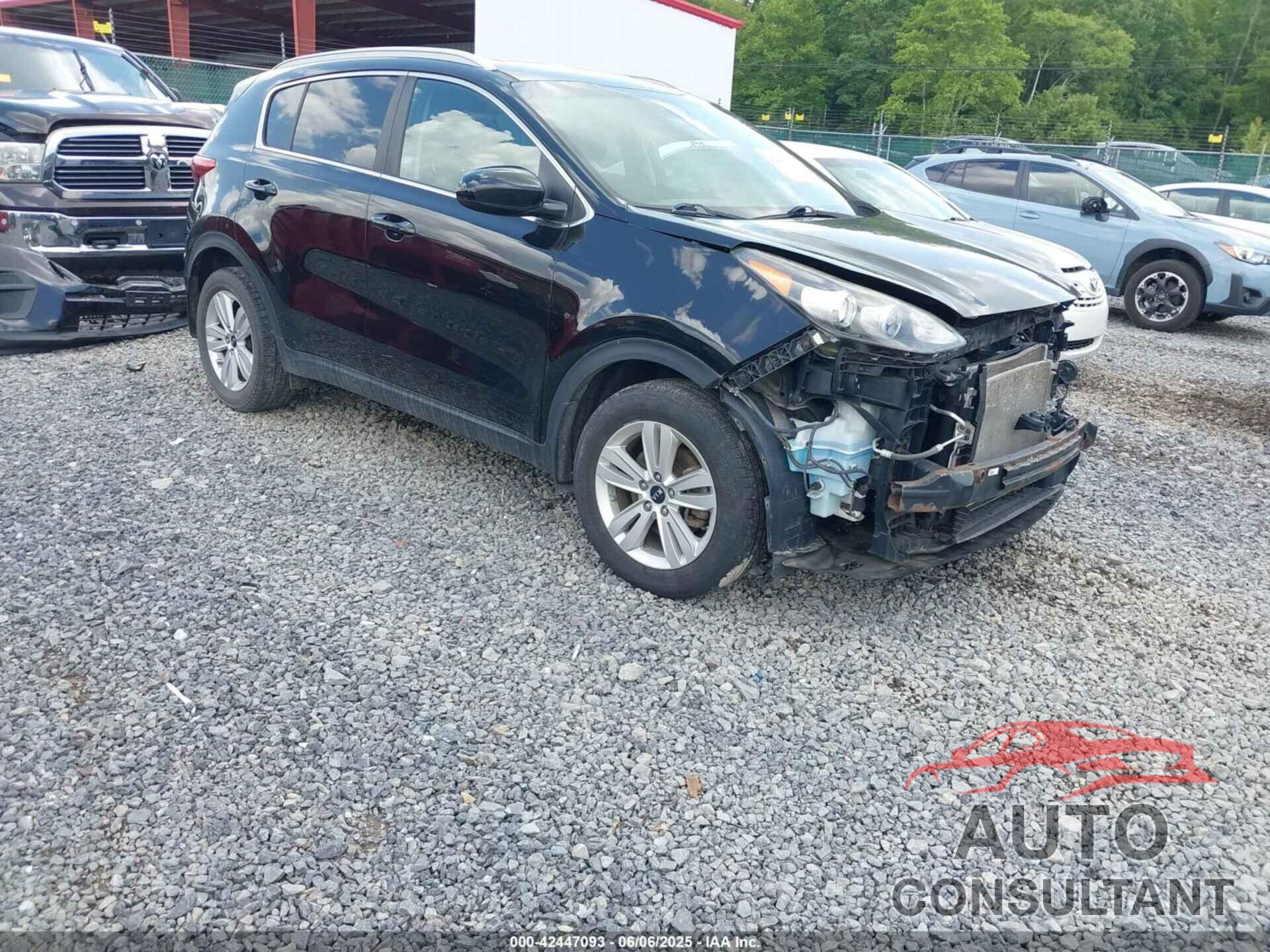 KIA SPORTAGE 2017 - KNDPM3AC9H7066790