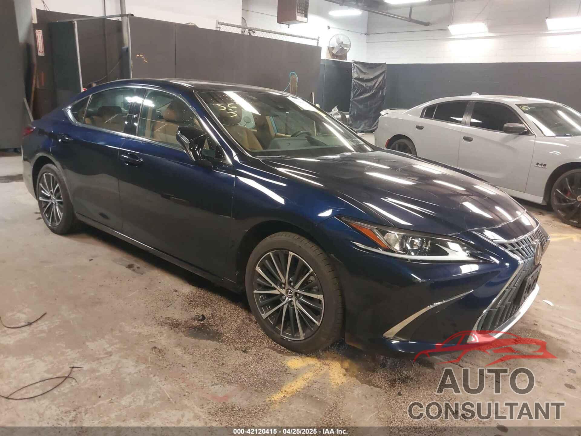 LEXUS ES 350 2022 - 58ADZ1B11NU133521