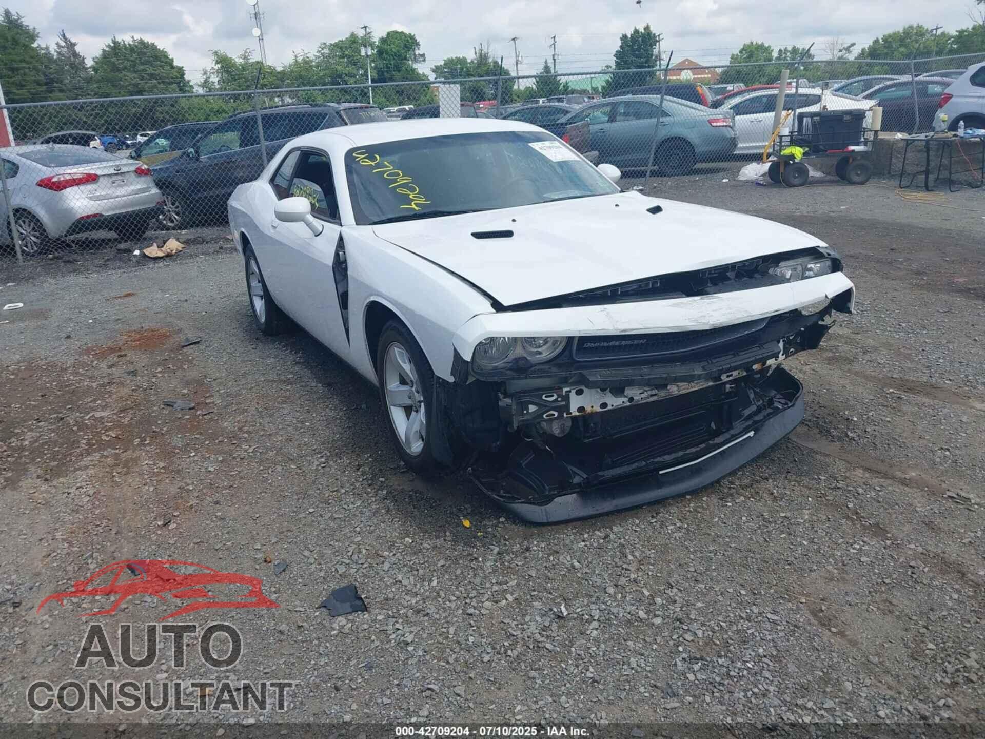 DODGE CHALLENGER 2012 - 2C3CDYAG0CH294001