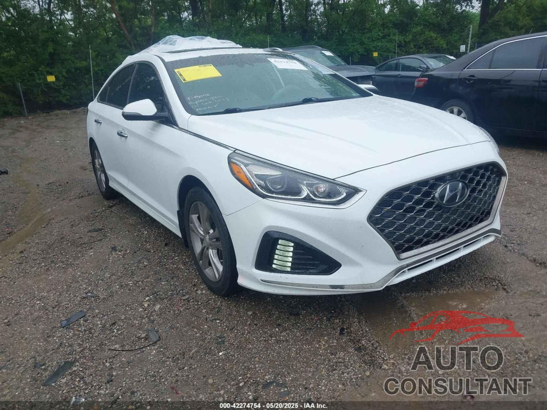 HYUNDAI SONATA 2019 - 5NPE34AF2KH733583