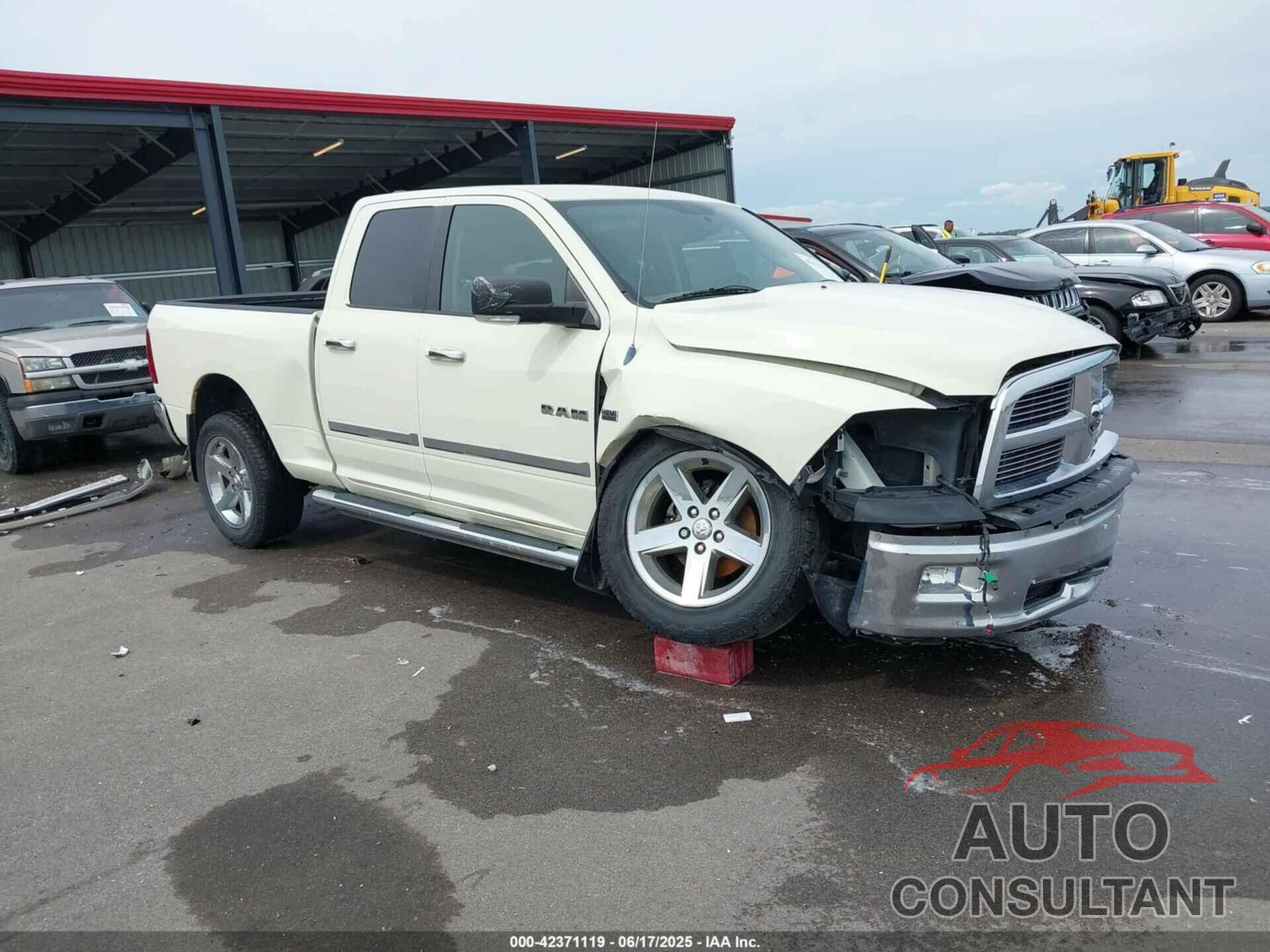 DODGE RAM 1500 2010 - 1D7RV1GT3AS227869
