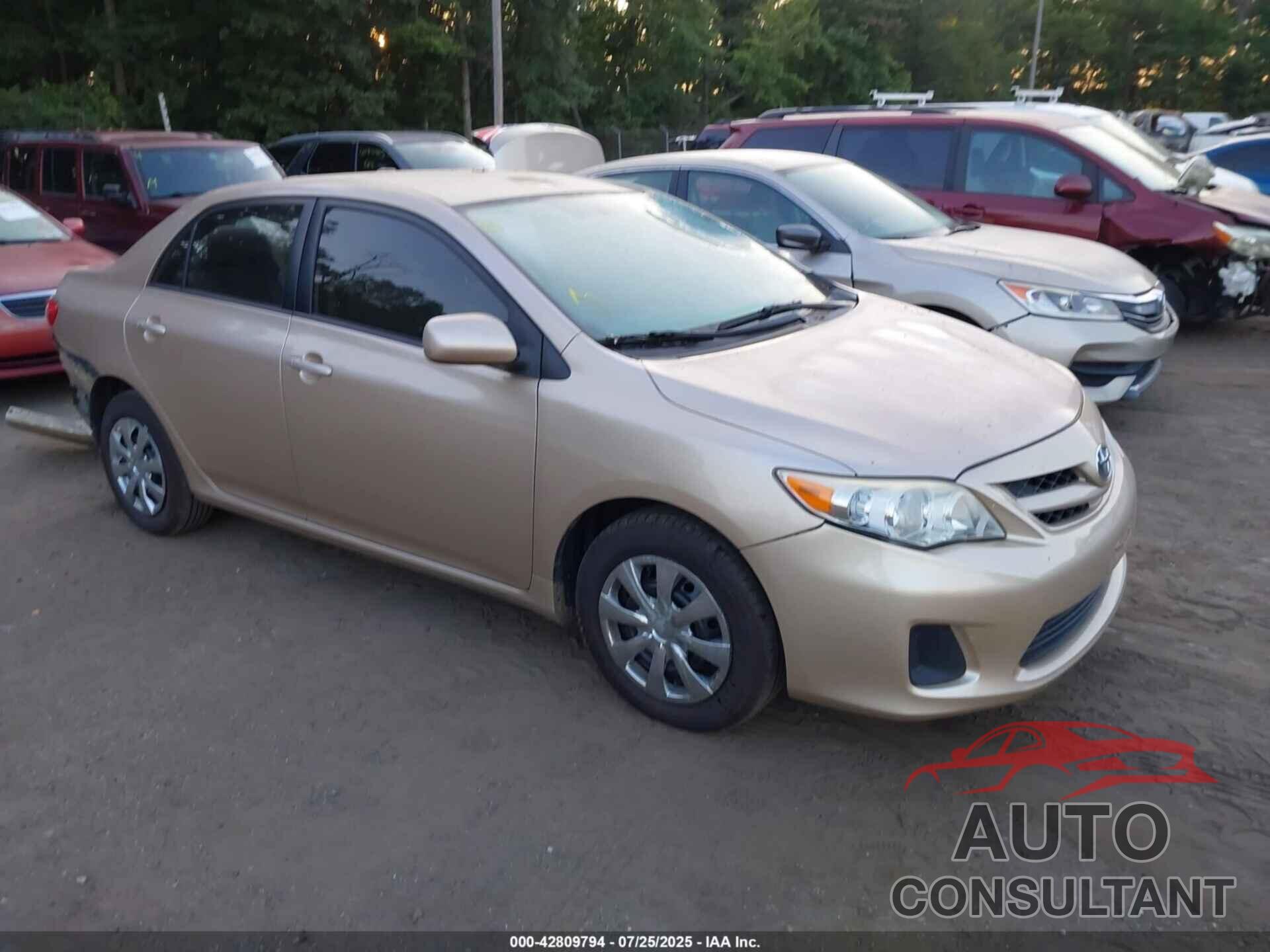 TOYOTA COROLLA 2011 - JTDBU4EE0B9125748