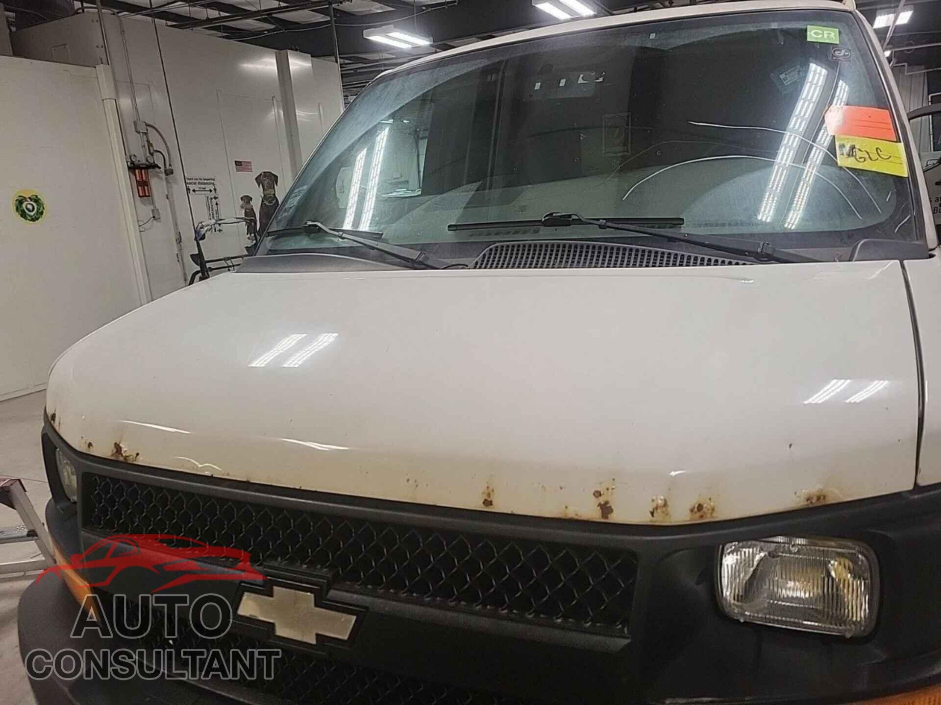 CHEVROLET EXPRESS G1500 2013 - 1GCSGAFXXD1173748