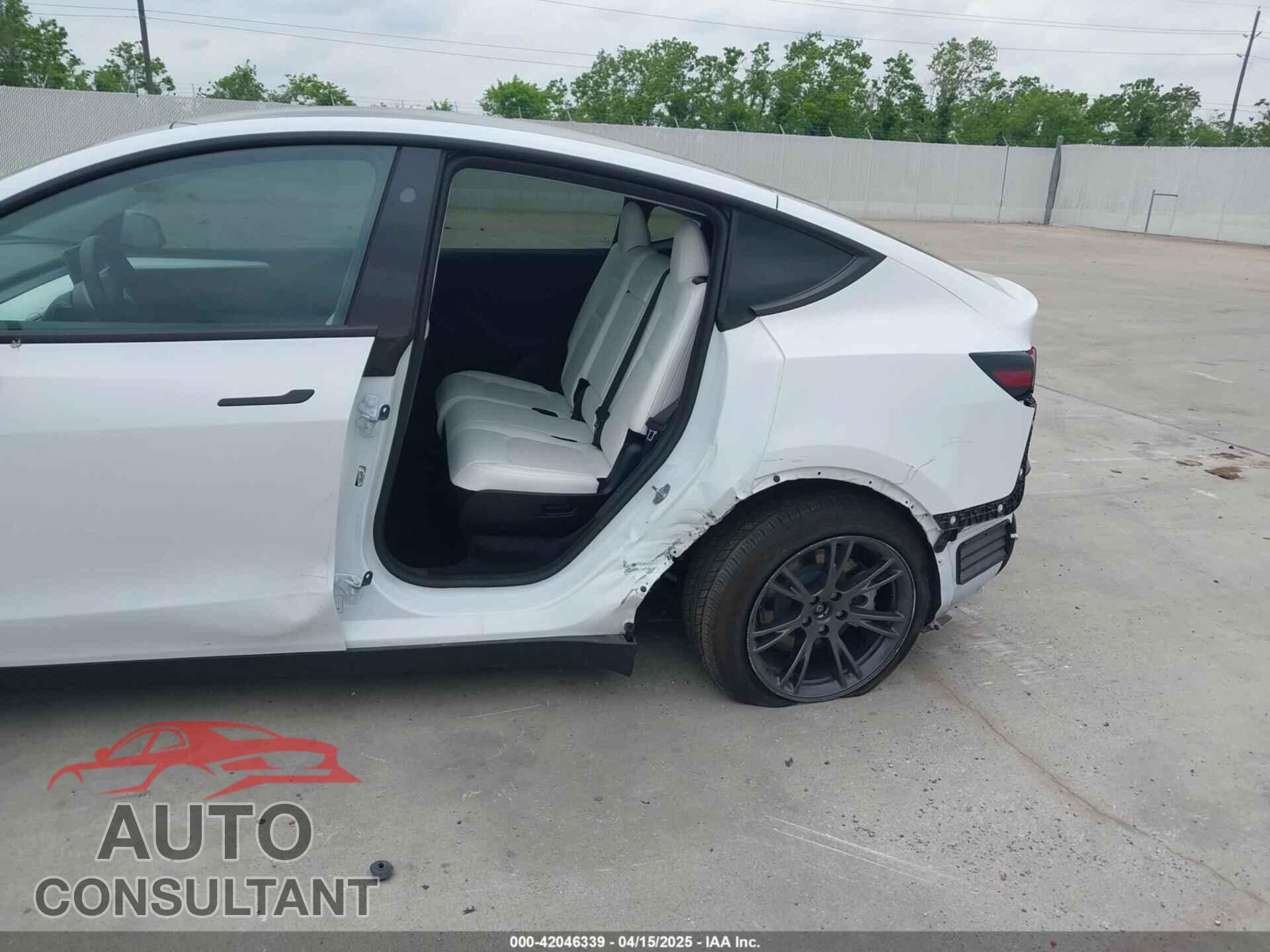 TESLA MODEL Y 2024 - 7SAYGAEE0RF163905