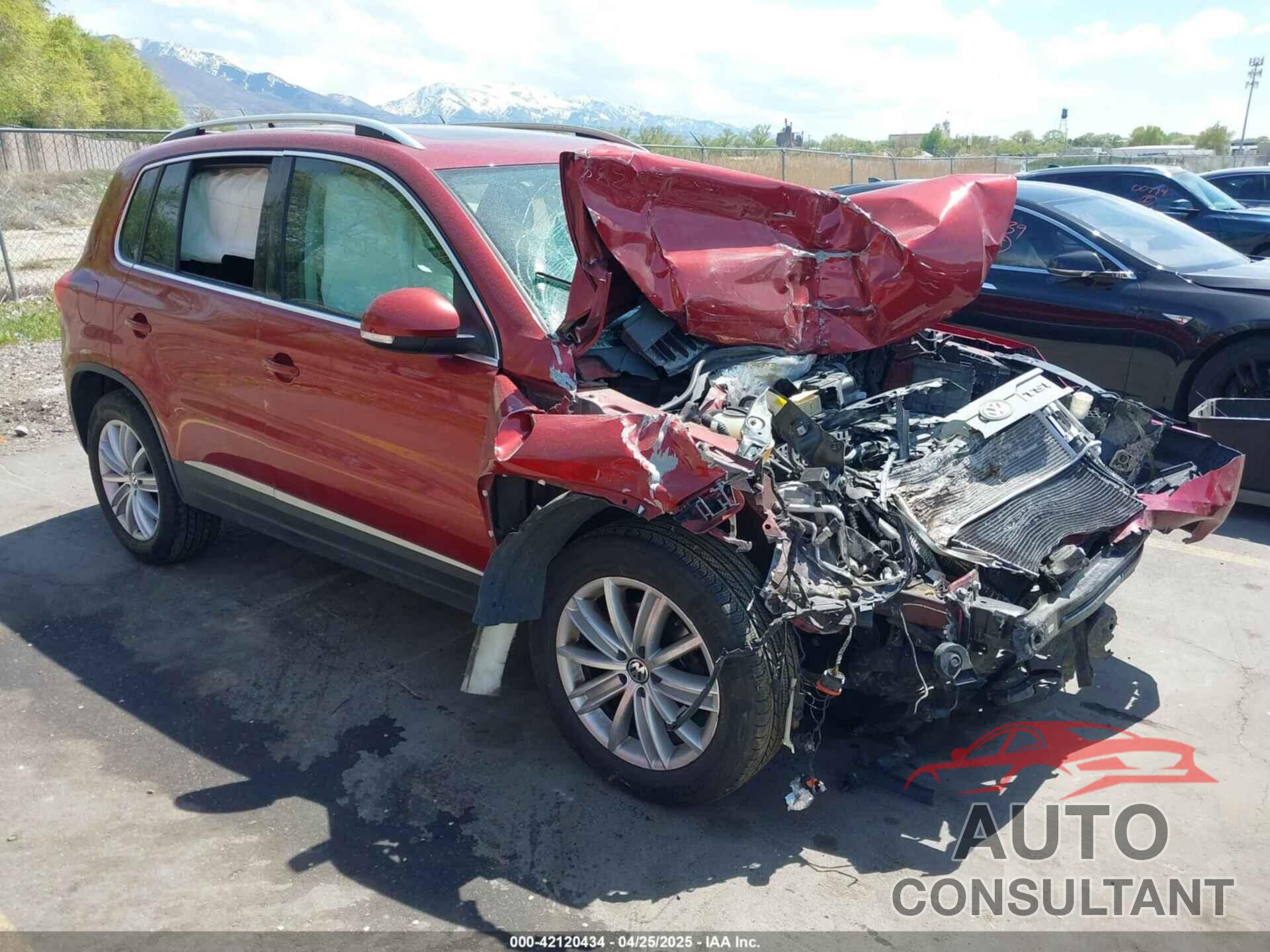 VOLKSWAGEN TIGUAN 2013 - WVGBV3AX9DW068030