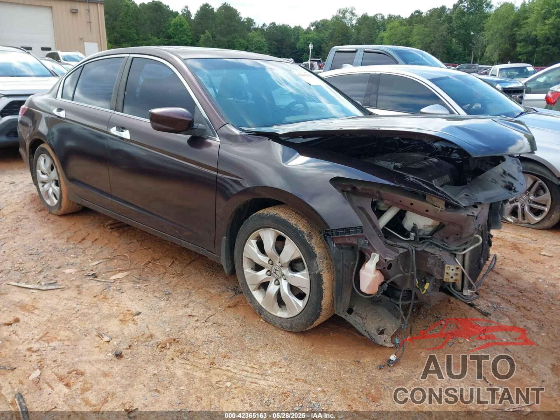HONDA ACCORD 2010 - 5KBCP3F85AB017324