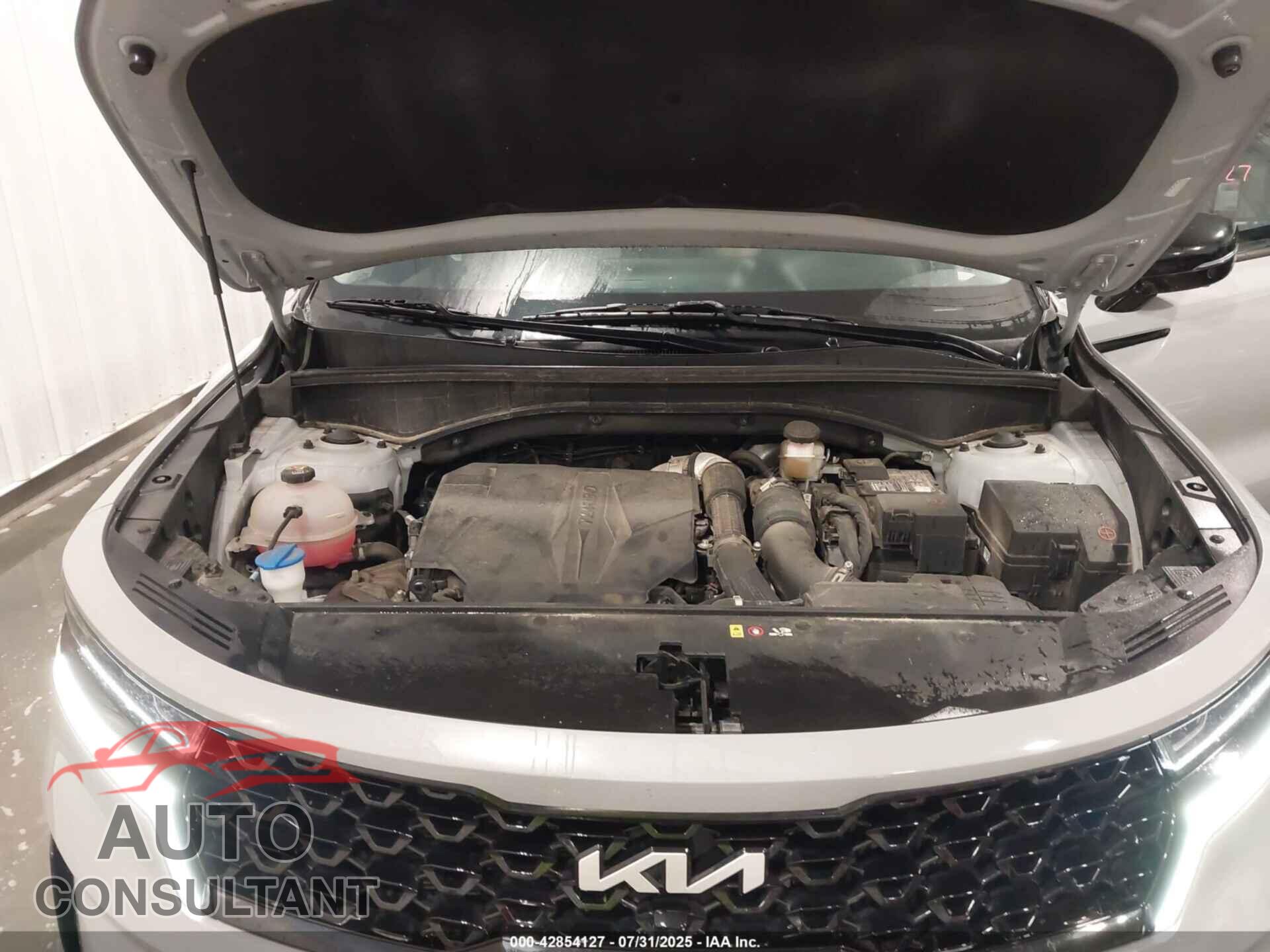 KIA SORENTO 2023 - 5XYRKDLF9PG220041