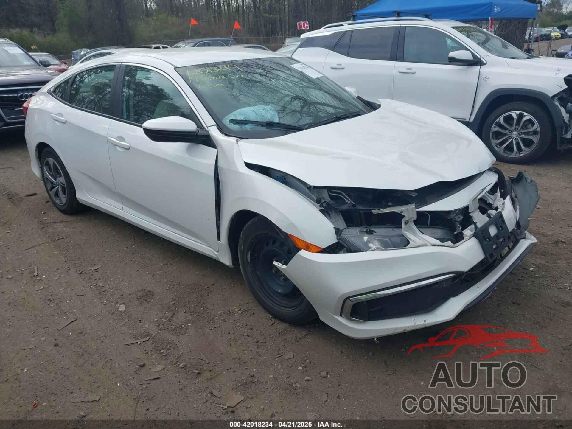 HONDA CIVIC 2019 - 2HGFC2F62KH604447