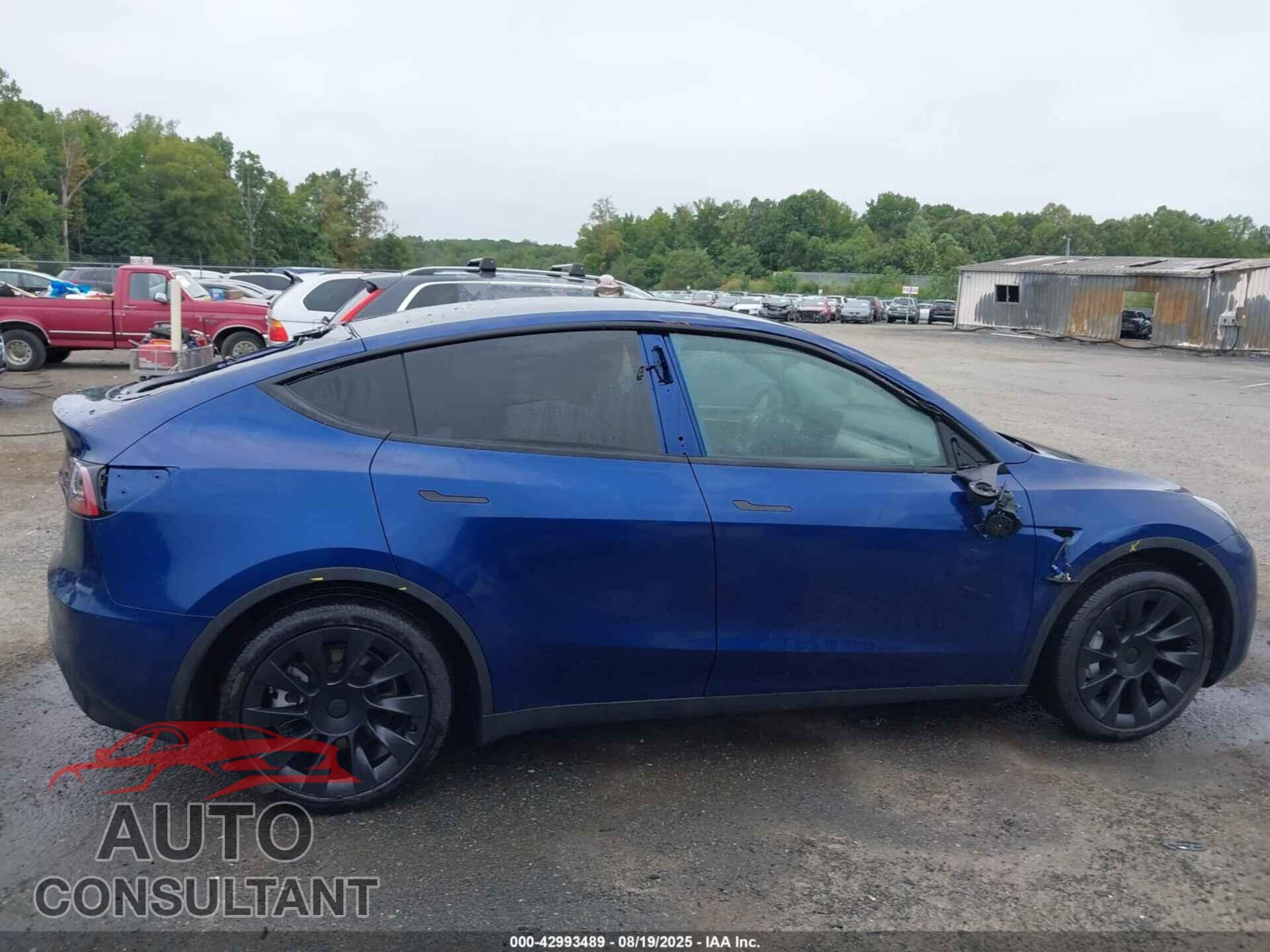 TESLA MODEL Y 2024 - 7SAYGAEE3RF117775
