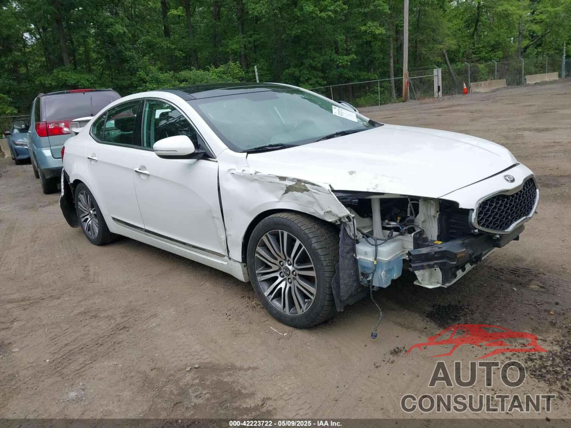KIA CADENZA 2014 - KNALN4D72E5123335