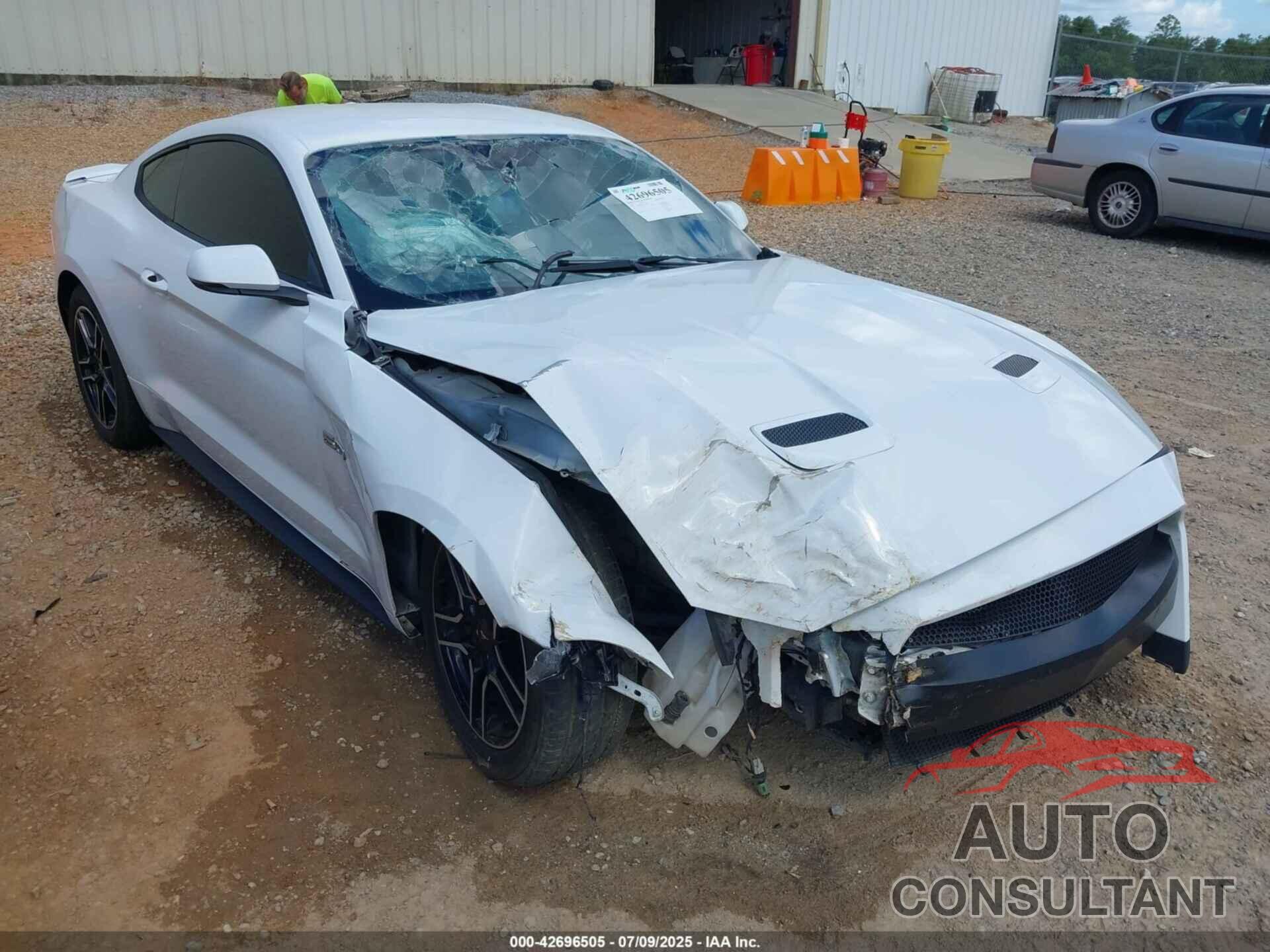 FORD MUSTANG 2019 - 1FA6P8CF0K5186381