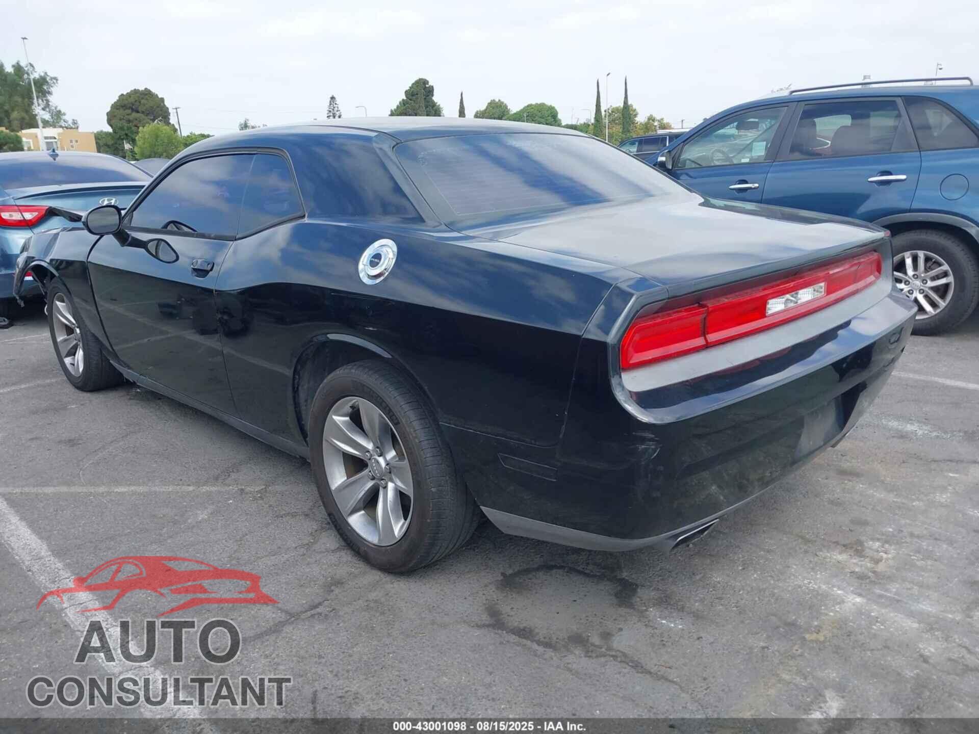 DODGE CHALLENGER 2013 - 2C3CDYAG2DH673048