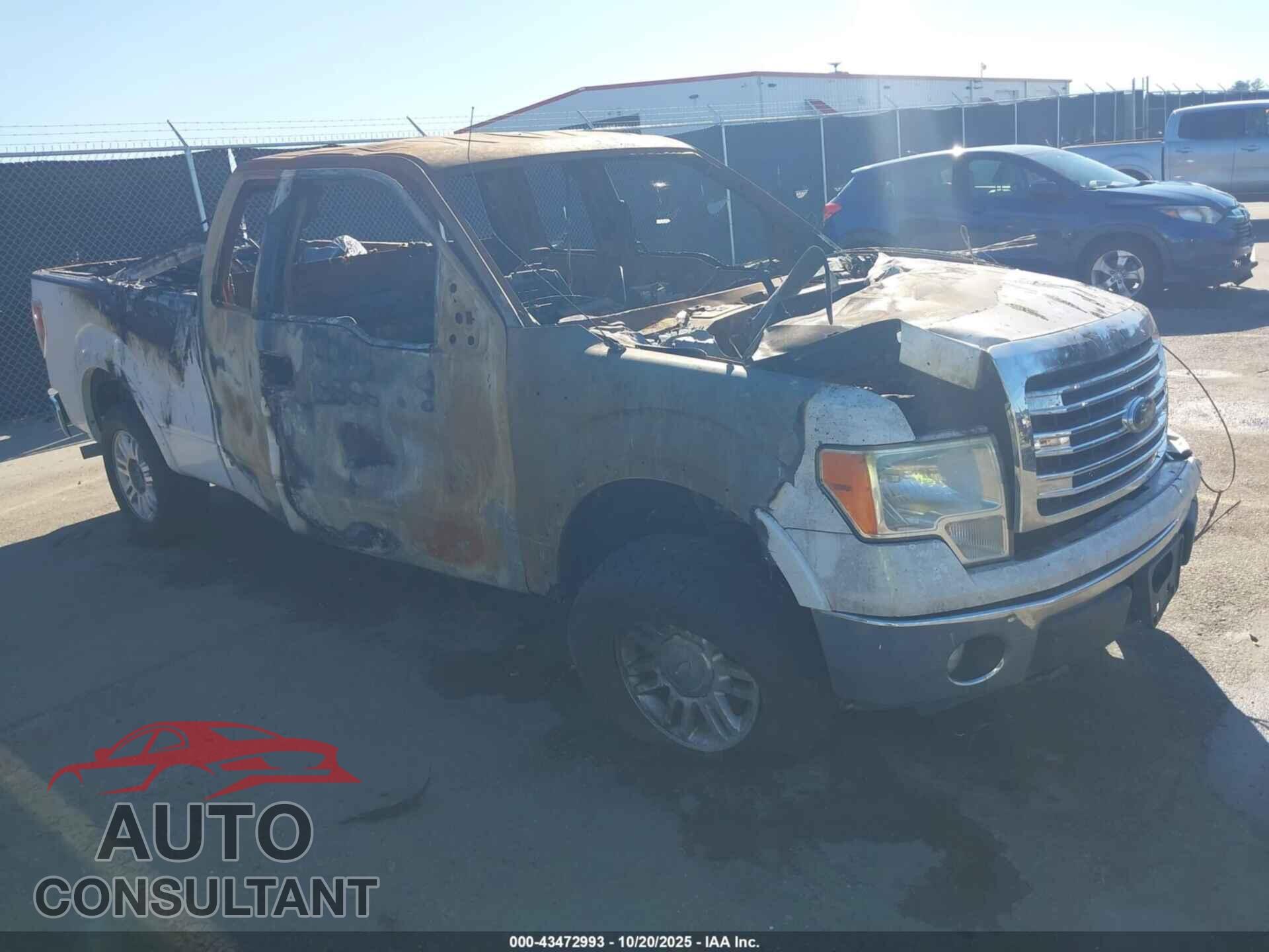 FORD F-150 2013 - 1FTFX1CF5DFD74912
