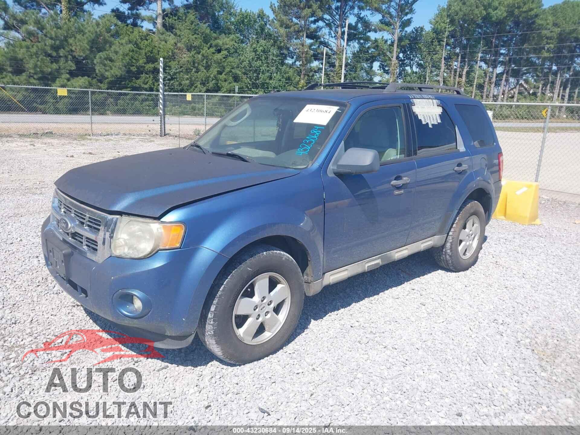 FORD ESCAPE 2010 - 1FMCU9DG8AKC81706