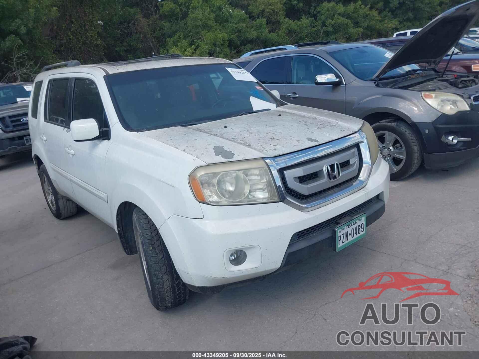 HONDA PILOT 2009 - 5FNYF38549B012895