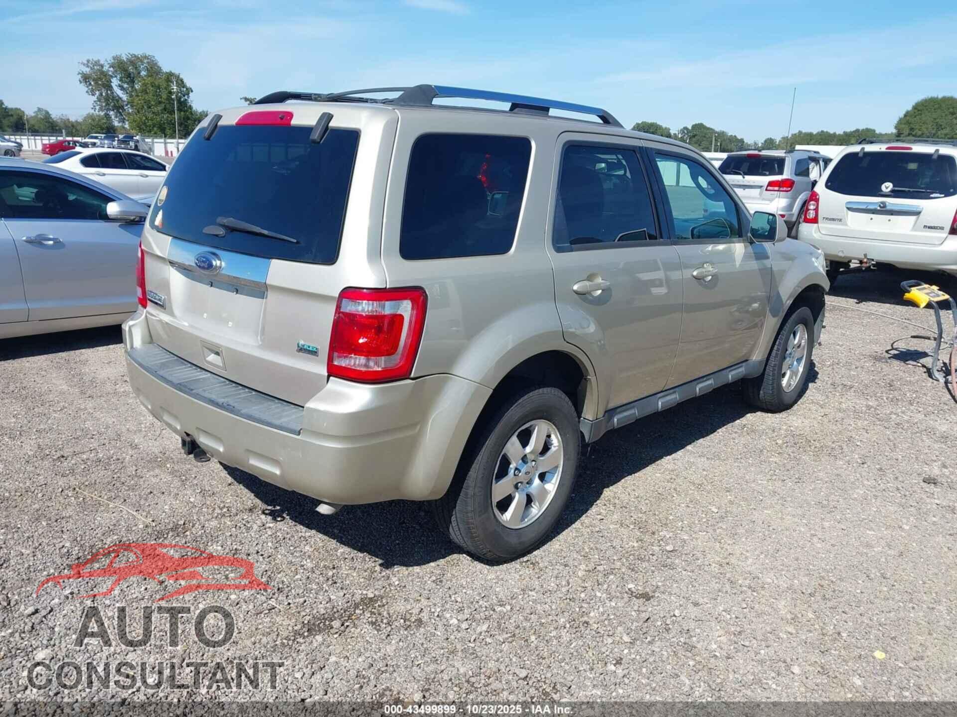 FORD ESCAPE 2011 - 1FMCU0EG7BKB83049