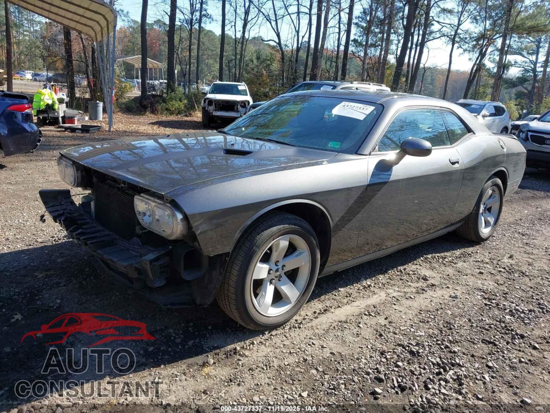 DODGE CHALLENGER 2013 - 2C3CDYAG8DH562701