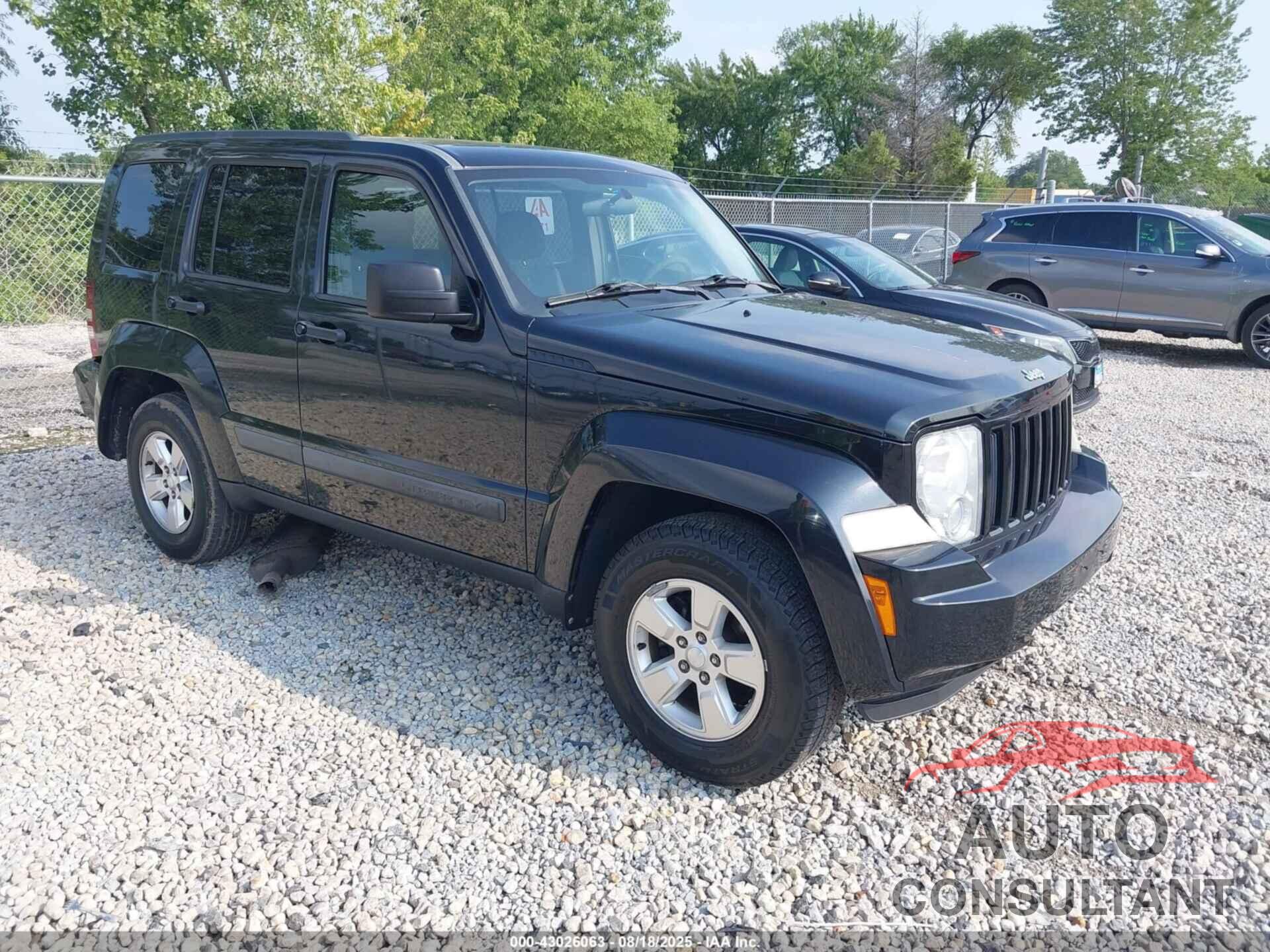 JEEP LIBERTY 2010 - 1J4PP2GK2AW154019