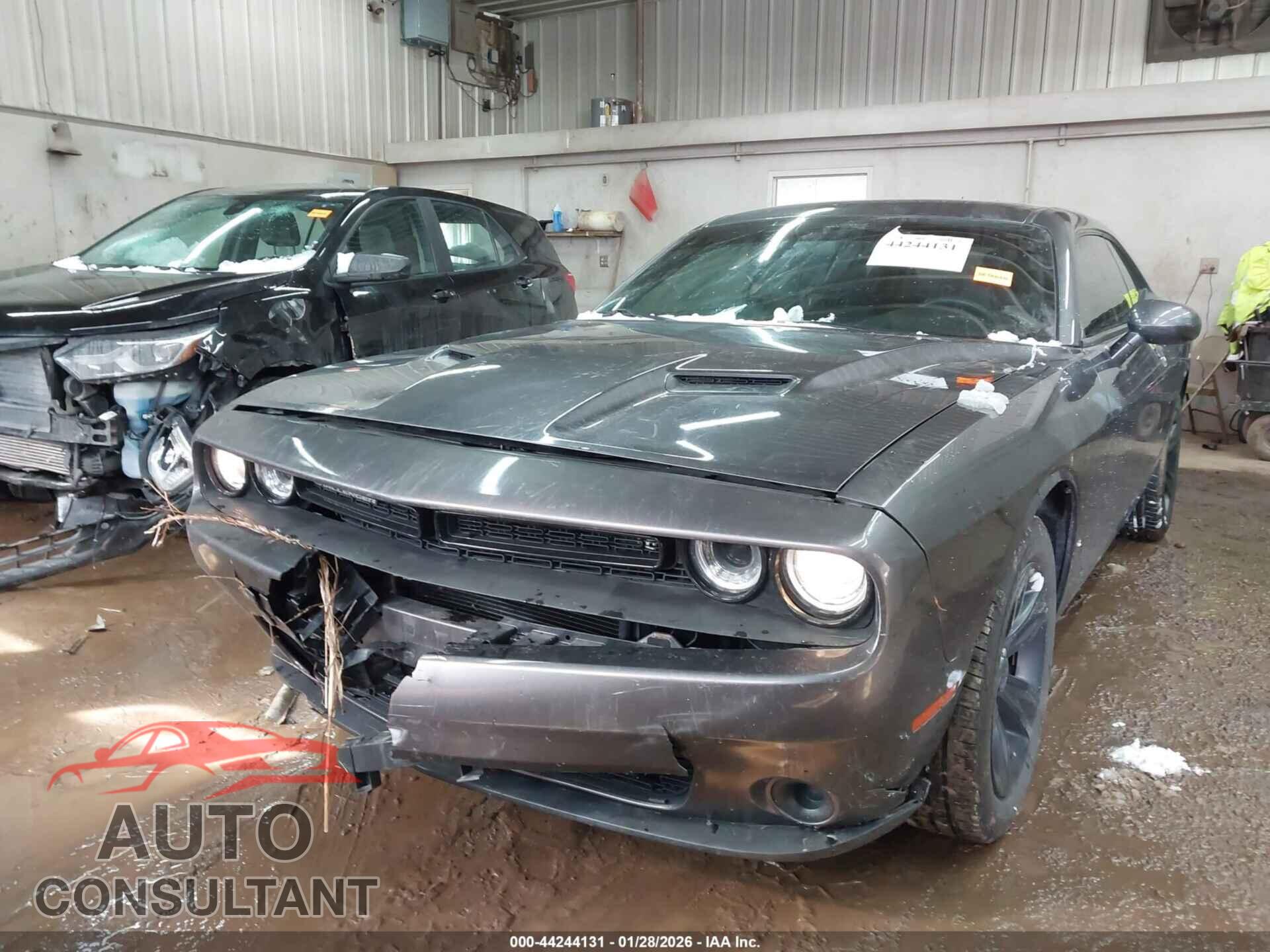 DODGE CHALLENGER 2019 - 2C3CDZAG4KH616322