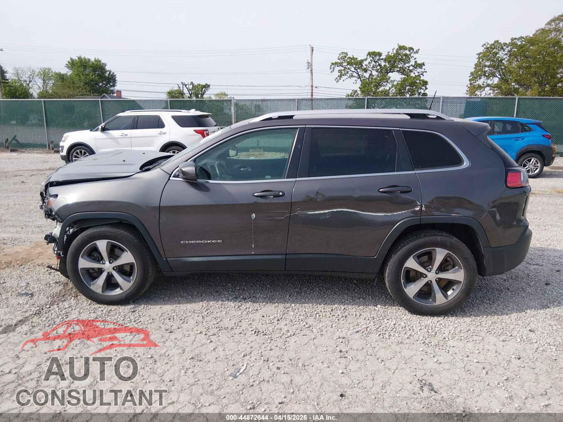 JEEP CHEROKEE 2019 - 1C4PJMDX3KD166258
