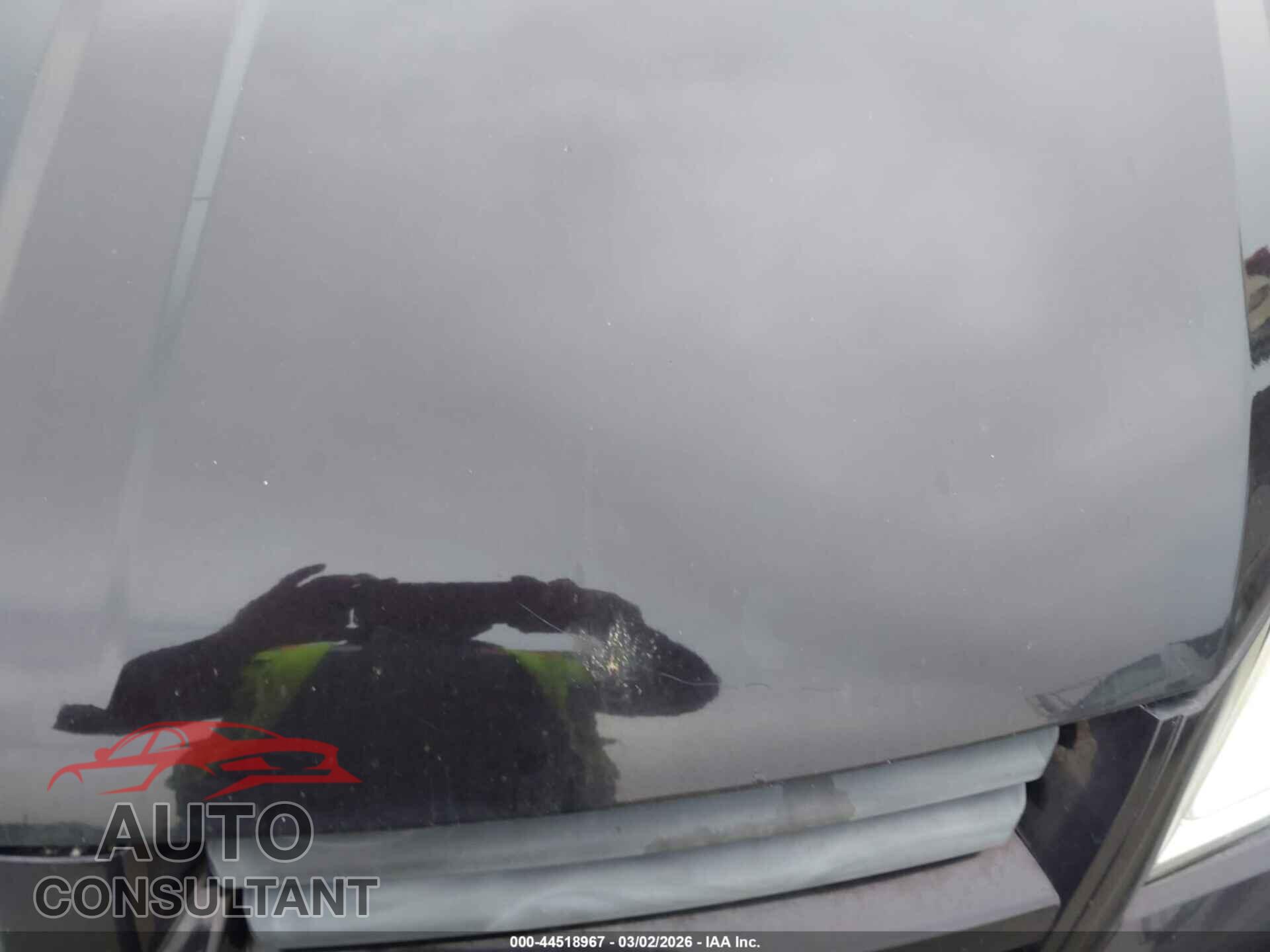 DODGE GRAND CARAVAN 2010 - 2D4RN3D18AR363735