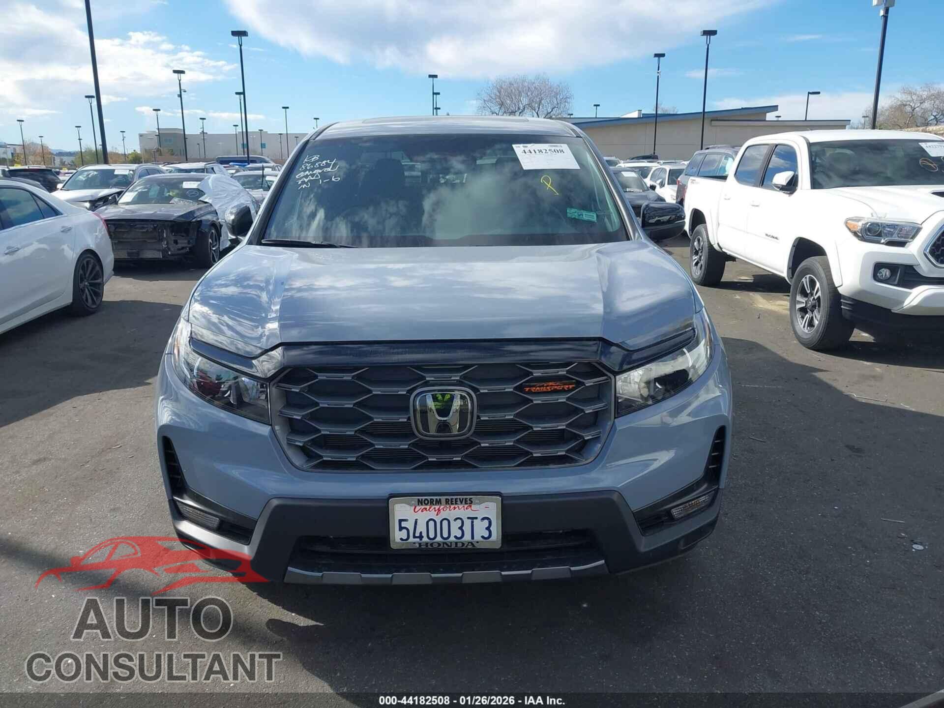 HONDA RIDGELINE 2024 - 5FPYK3F61RB026302