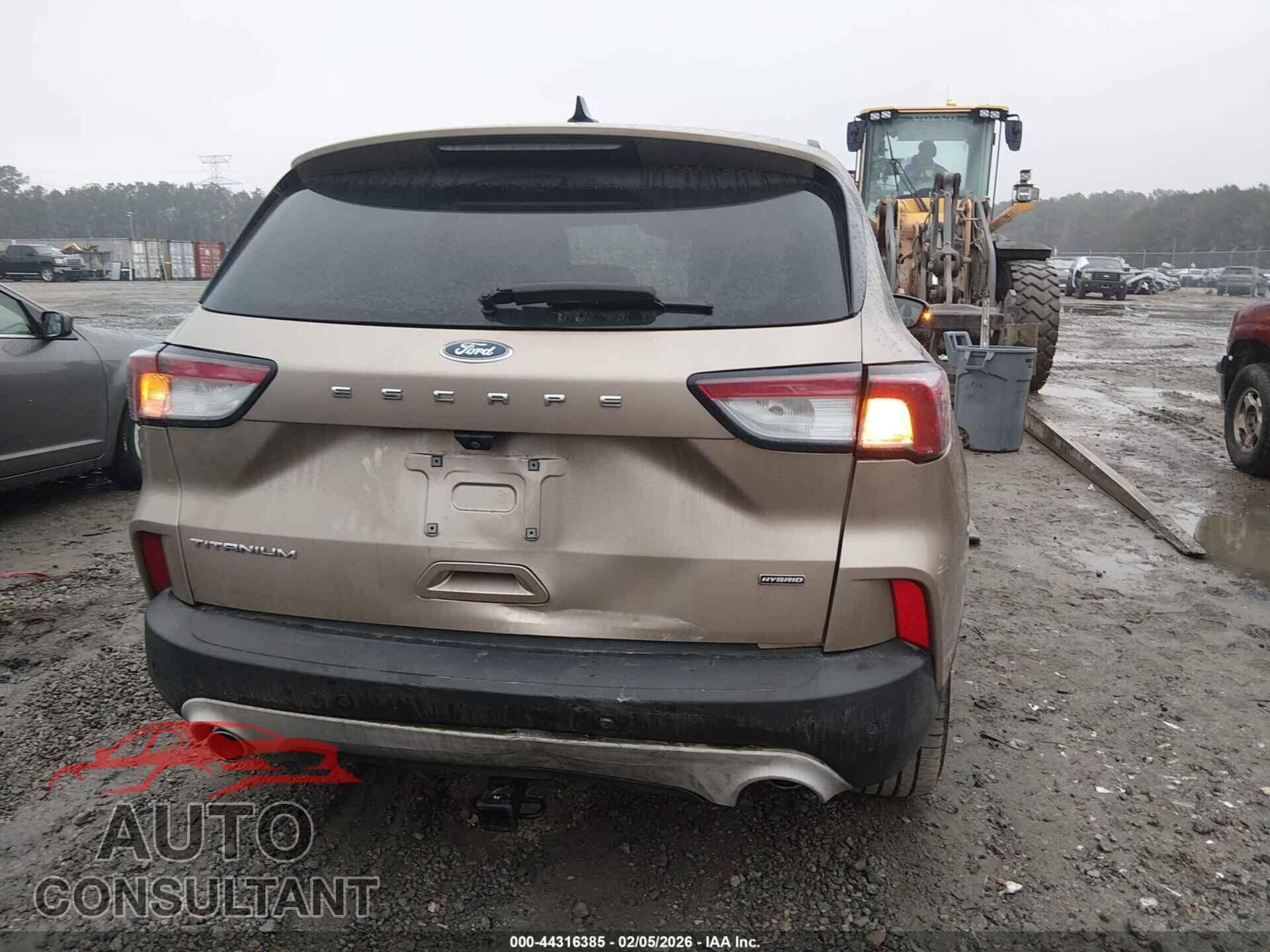 FORD ESCAPE 2020 - 1FMCU0DZ7LUA39655
