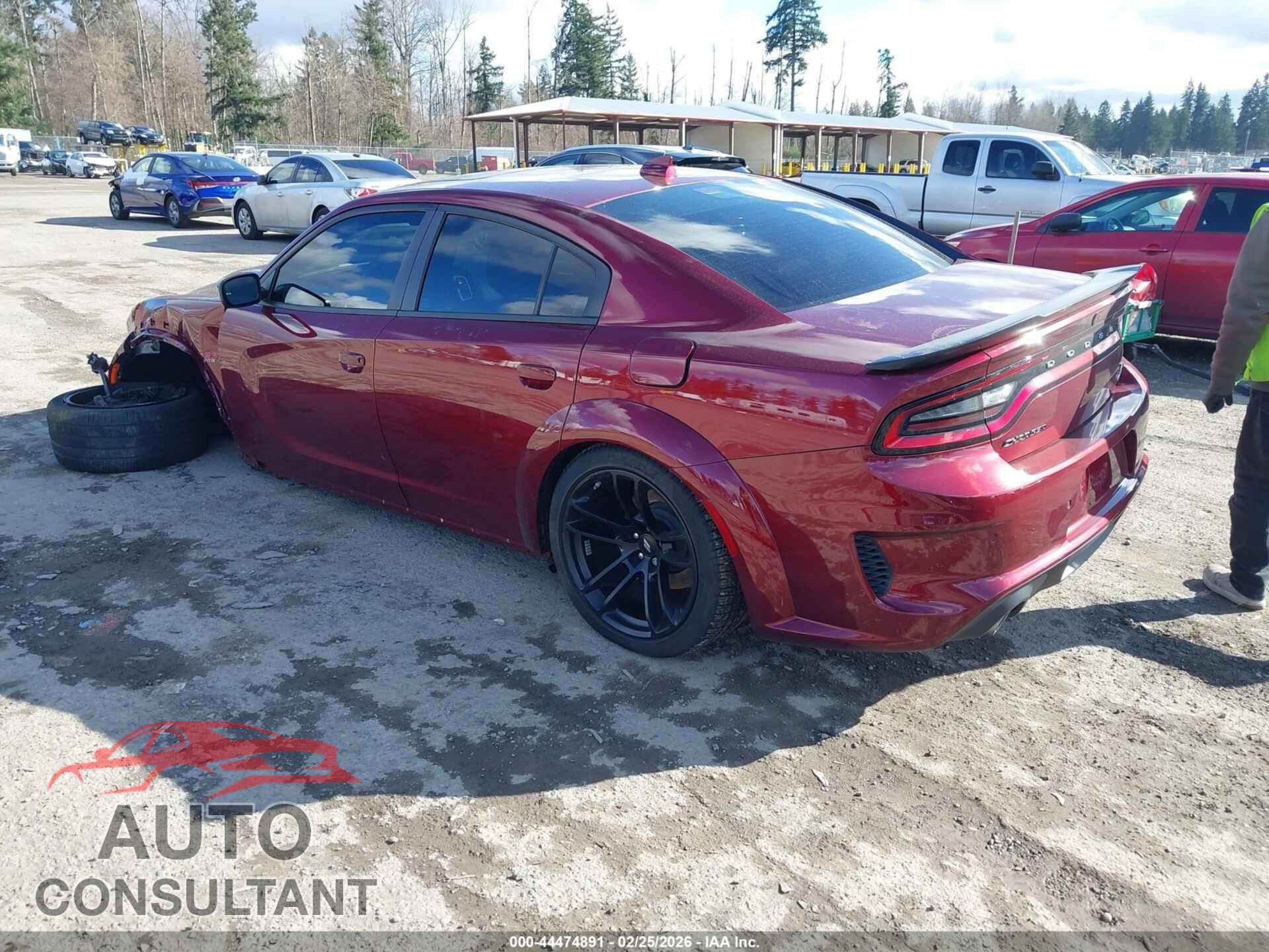 DODGE CHARGER 2023 - 2C3CDXGJ2PH556930