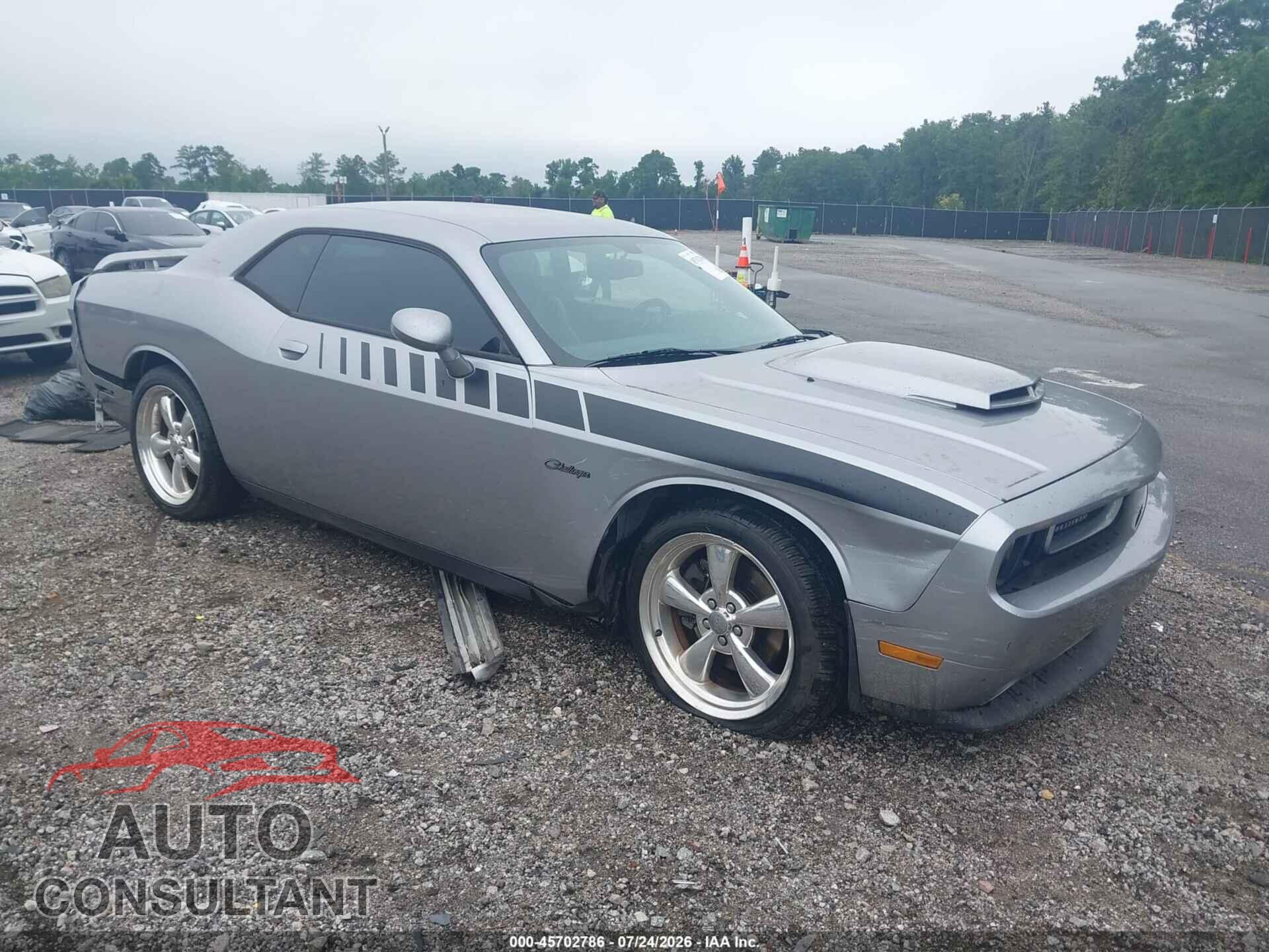 DODGE CHALLENGER 2013 - 2C3CDYBT3DH629281