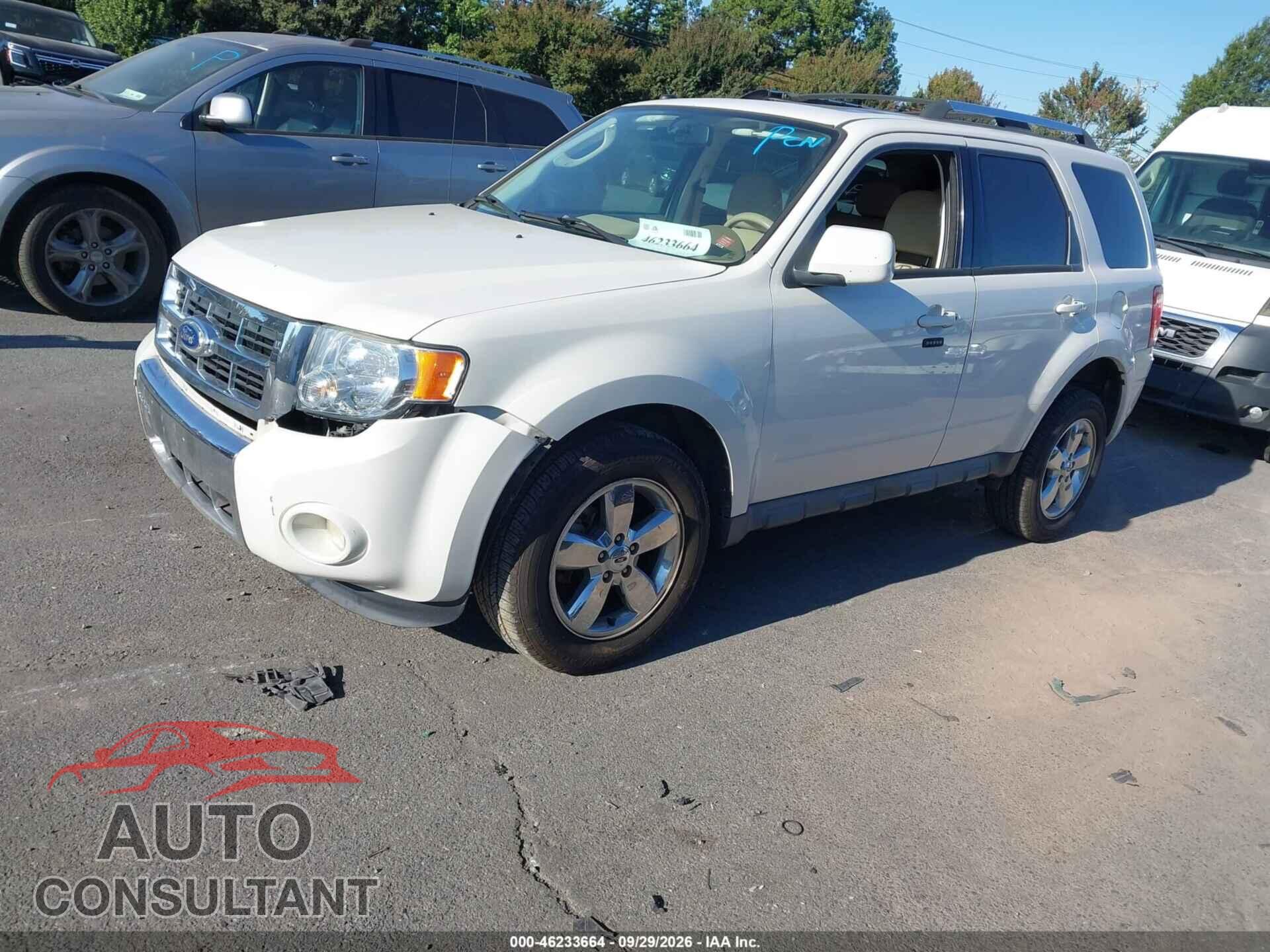 FORD ESCAPE 2010 - 1FMCU0E73AKC87813