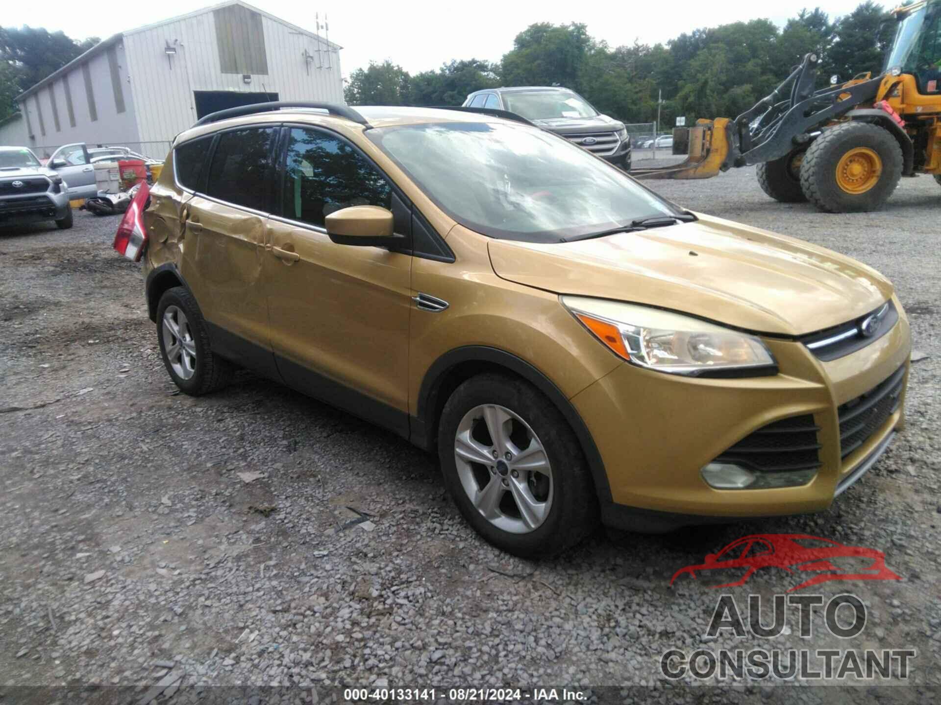 FORD ESCAPE 2014 - 1FMCU9G94EUC31733