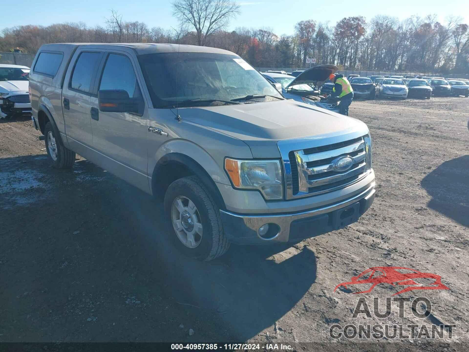 FORD F-150 2009 - 1FTRW12859FB07490