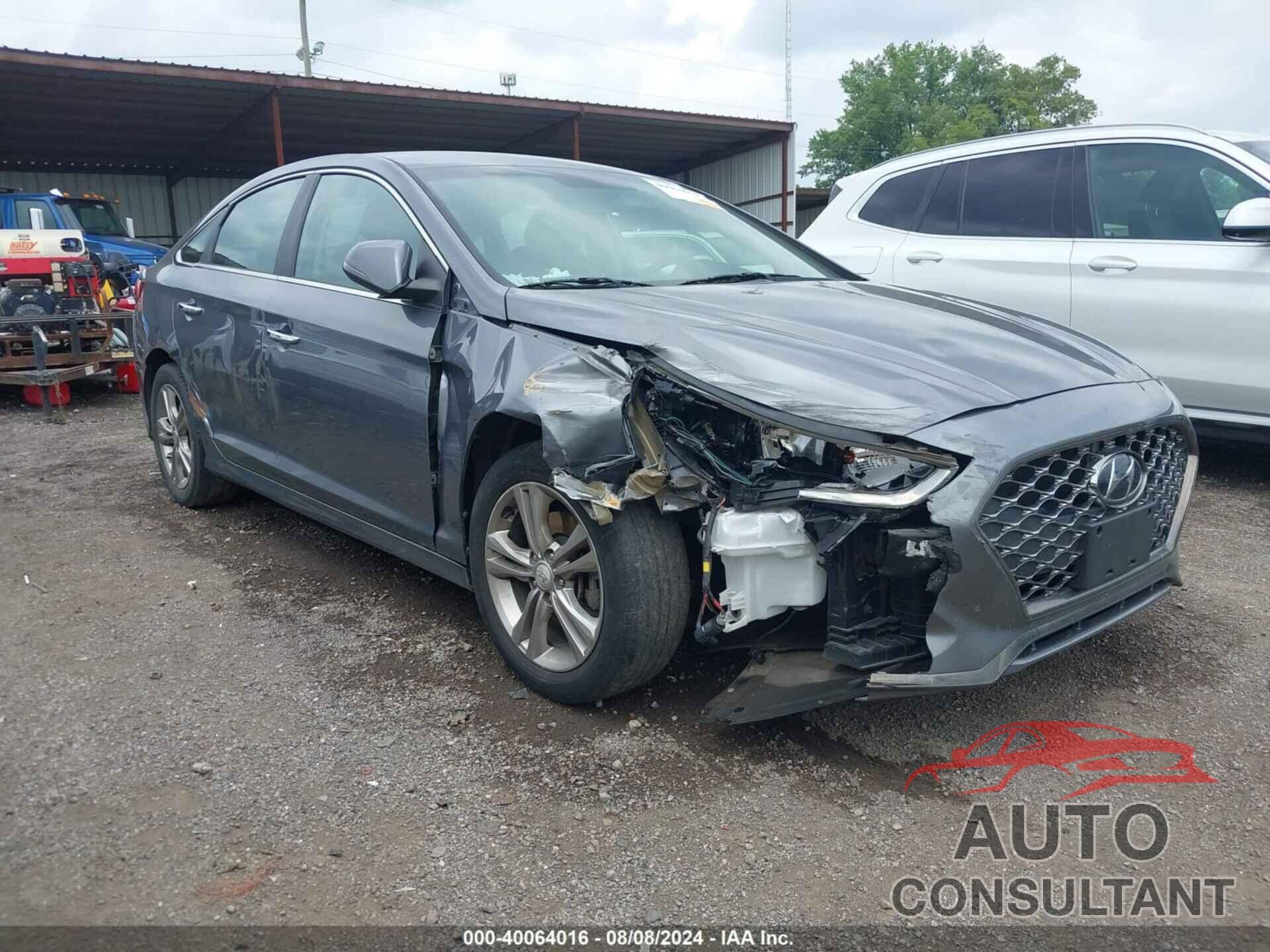 HYUNDAI SONATA 2019 - 5NPE34AF9KH771604