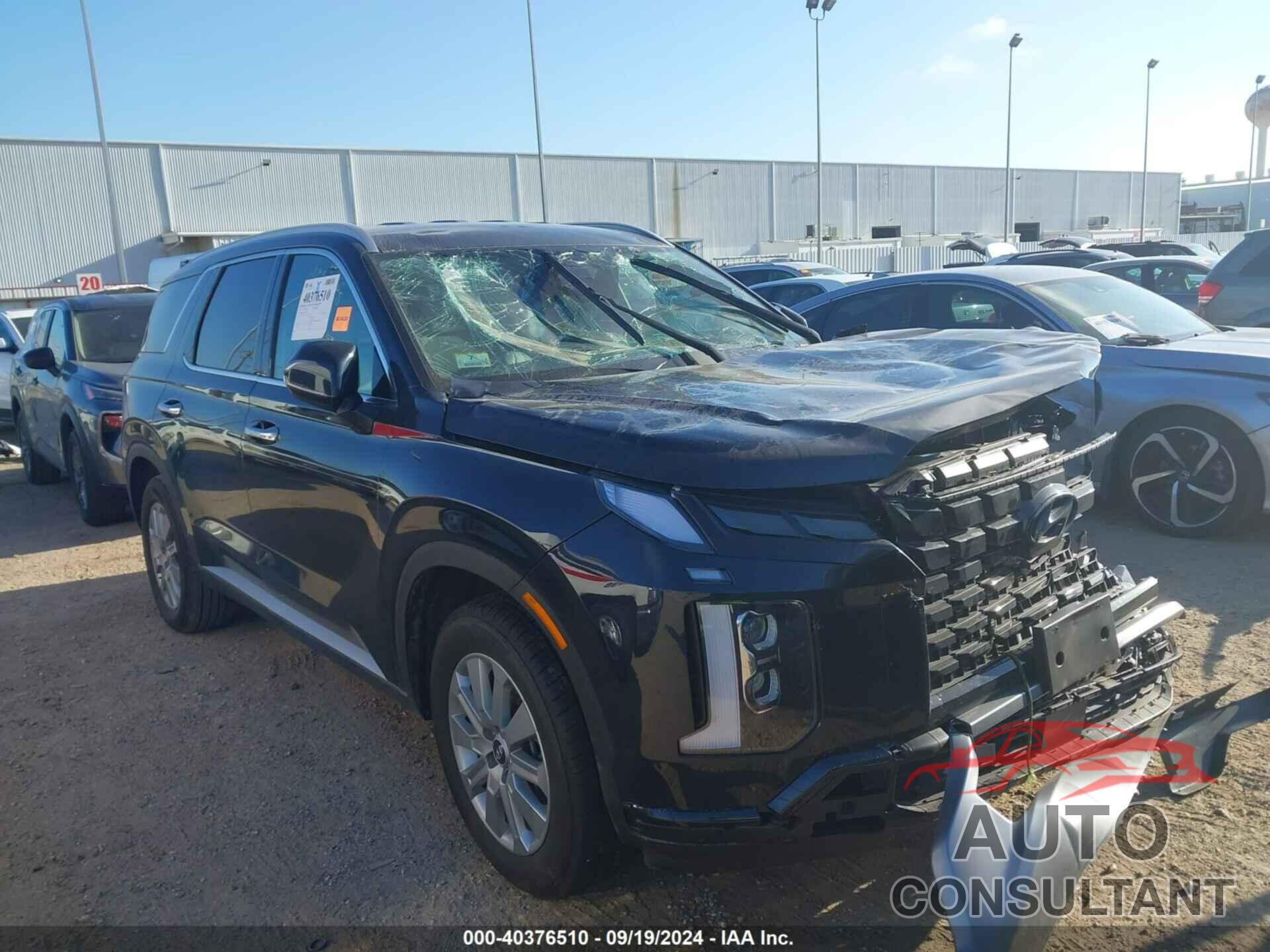 HYUNDAI PALISADE 2024 - KM8R24GE2RU795340