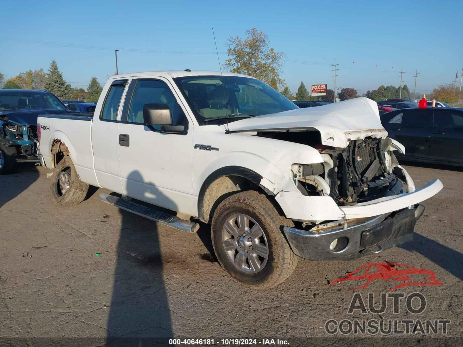 FORD F-150 2009 - 1FTRX14809FA54143