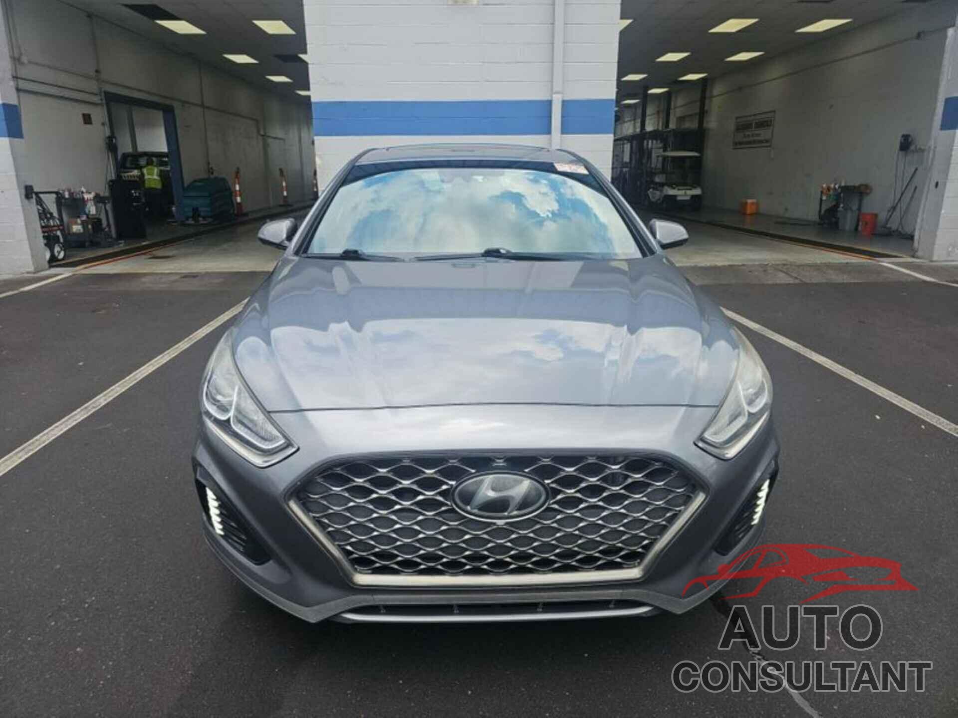 HYUNDAI SONATA 2019 - 5NPE34AF5KH762530