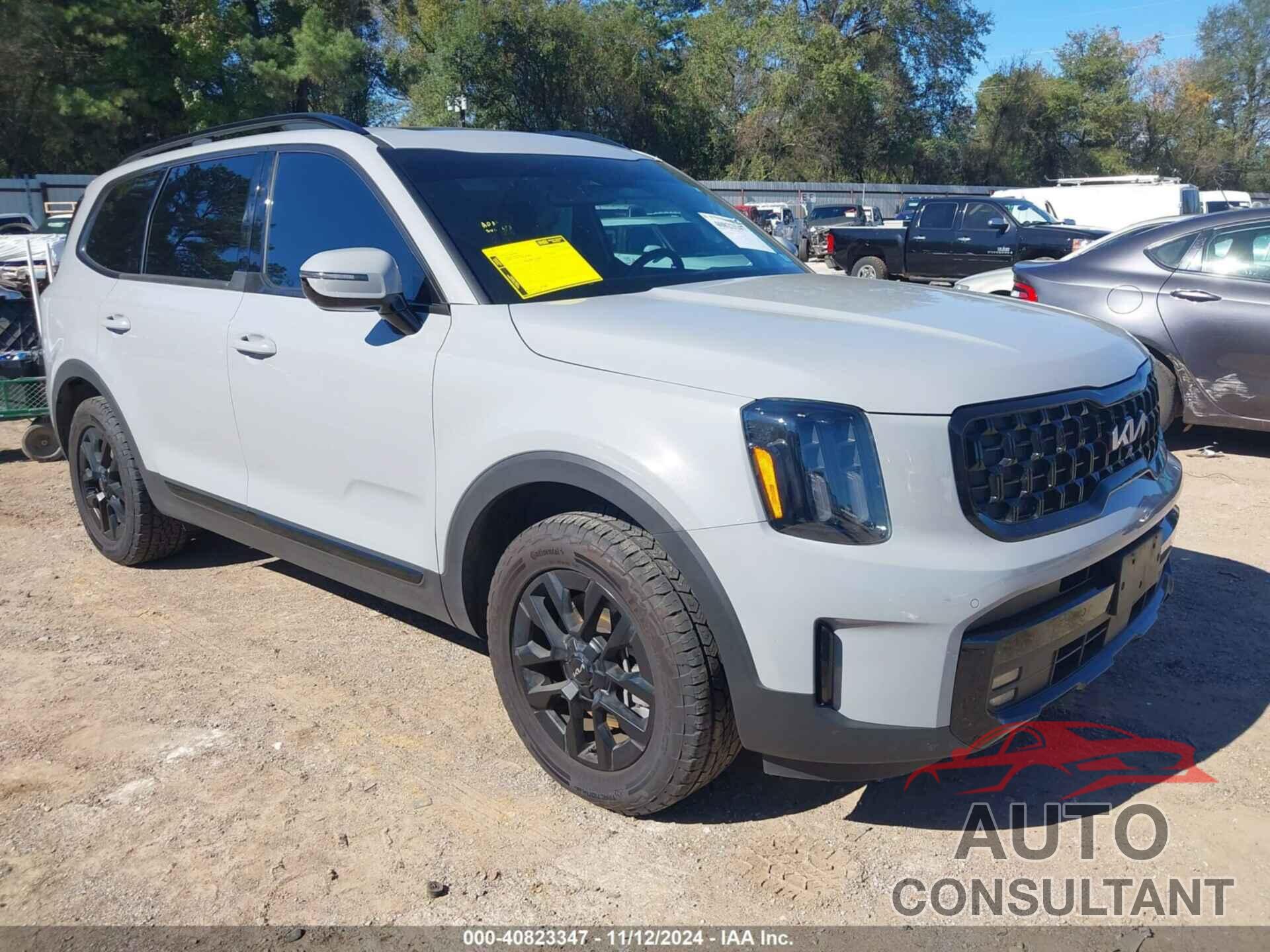 KIA TELLURIDE 2024 - 5XYP5DGC2RG446567