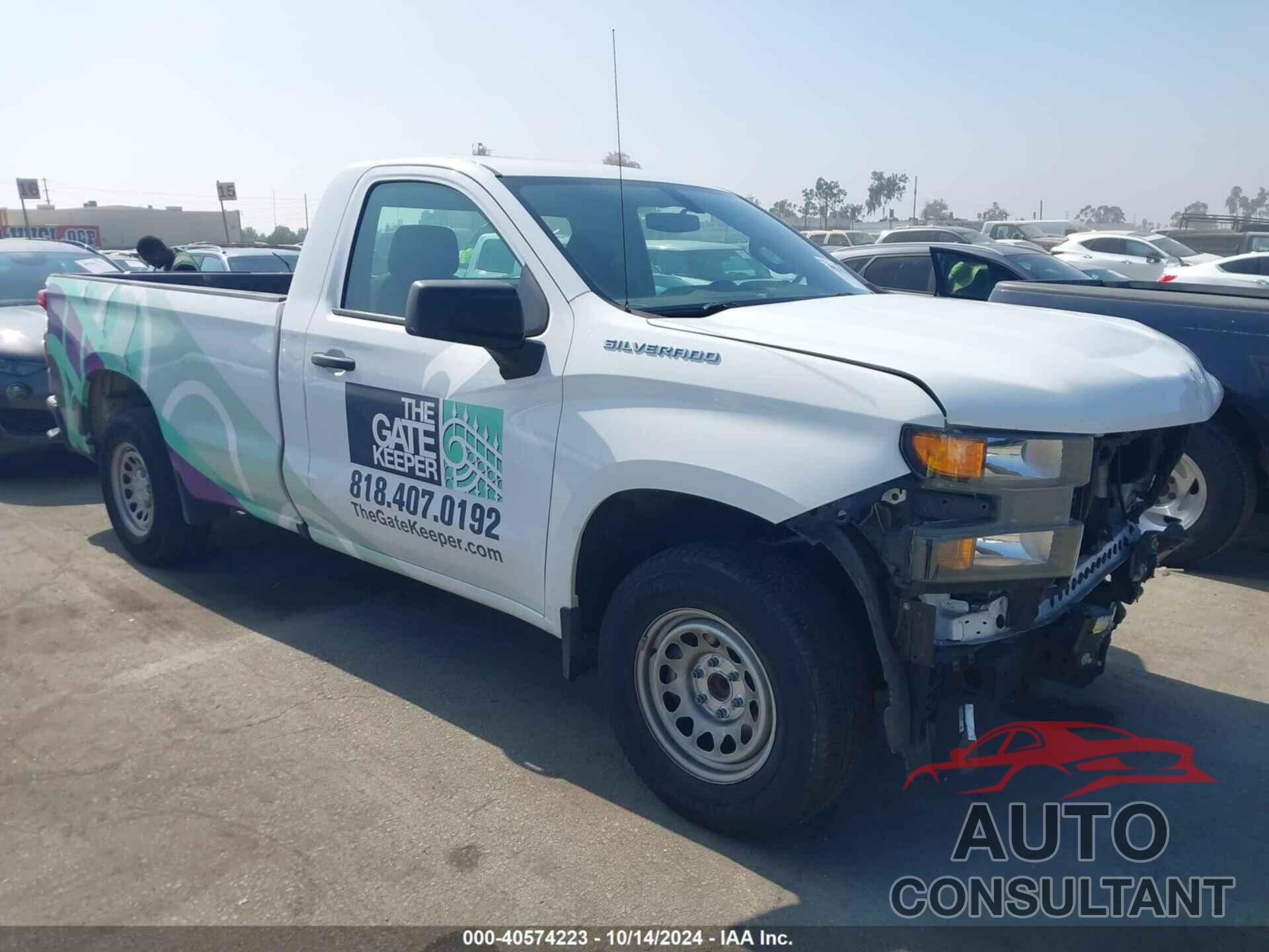 CHEVROLET SILVERADO 1500 2019 - 3GCNWAEH0KG174965