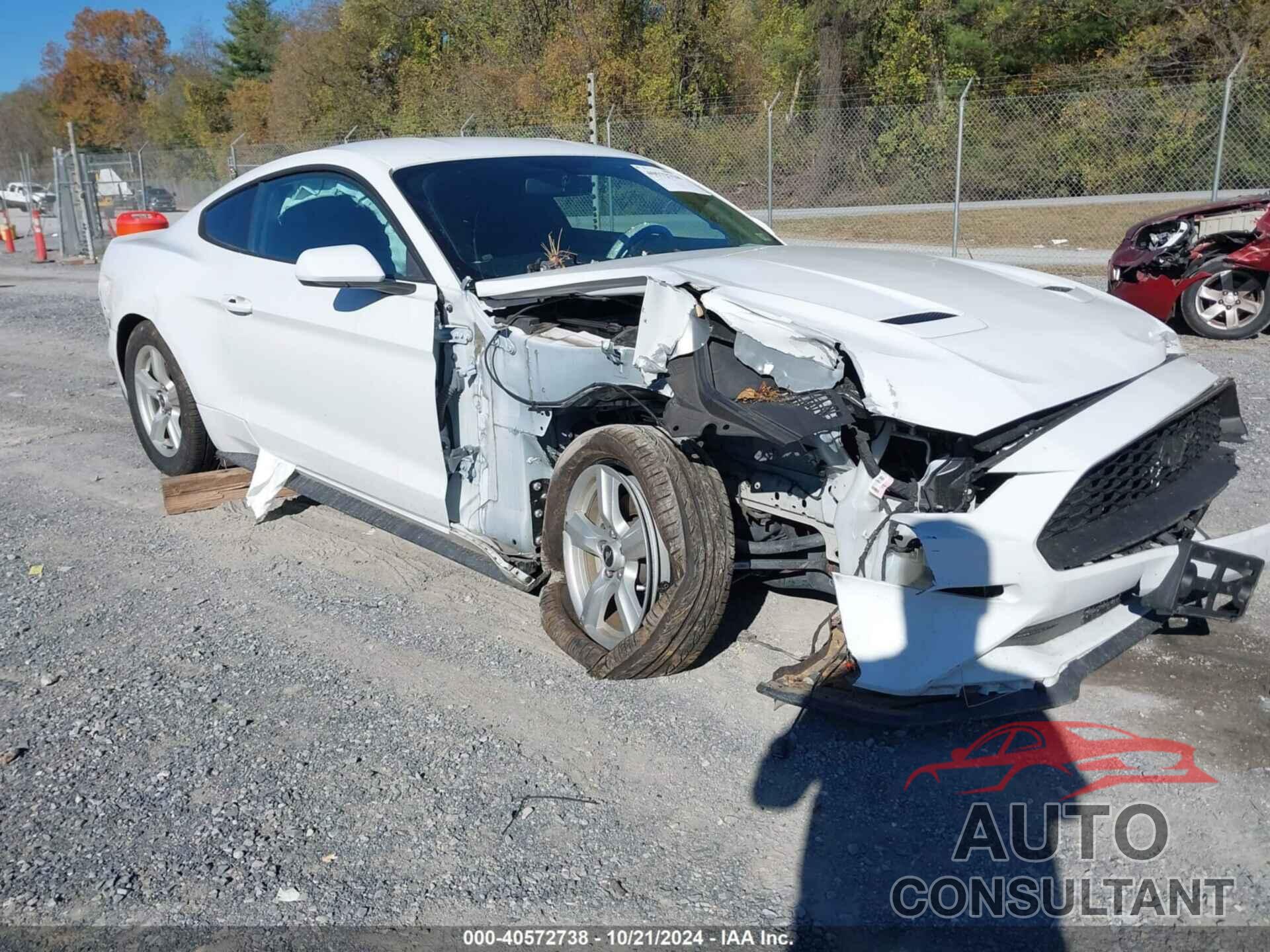 FORD MUSTANG 2019 - 1FA6P8TH1K5111514
