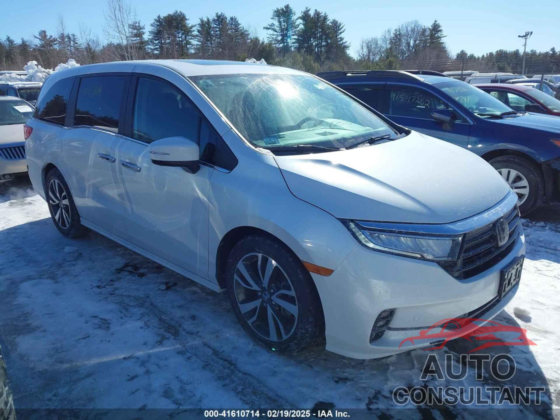 HONDA ODYSSEY 2023 - 5FNRL6H81PB008129